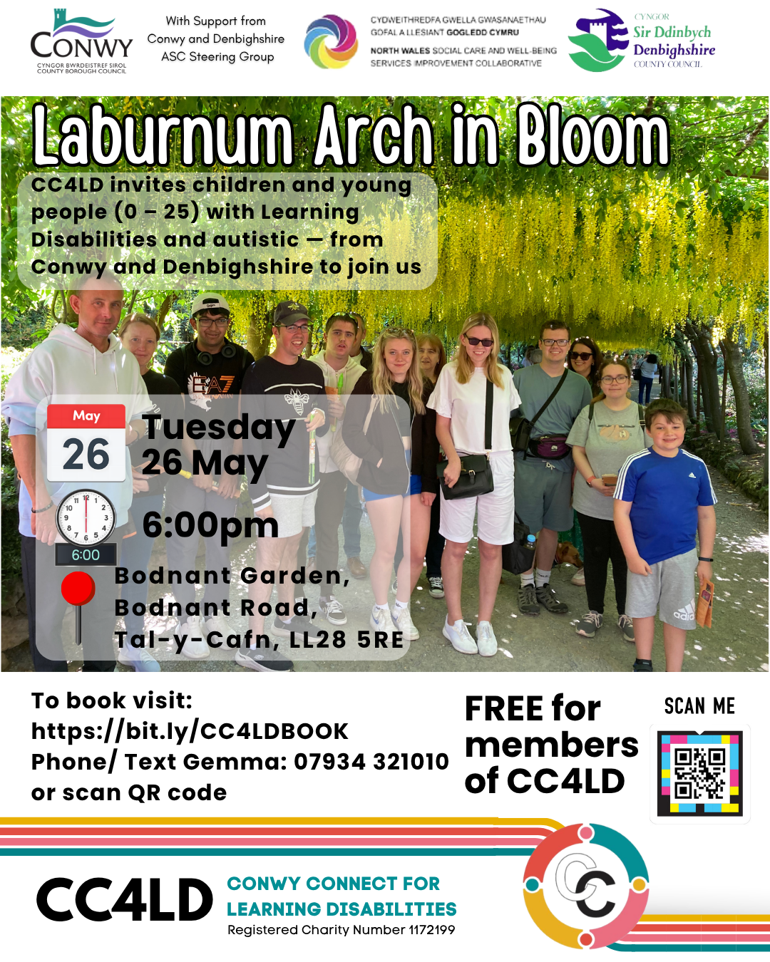 🌼🌿 Laburnum Arch in Bloom – Bodnant Garden 🌿🌼