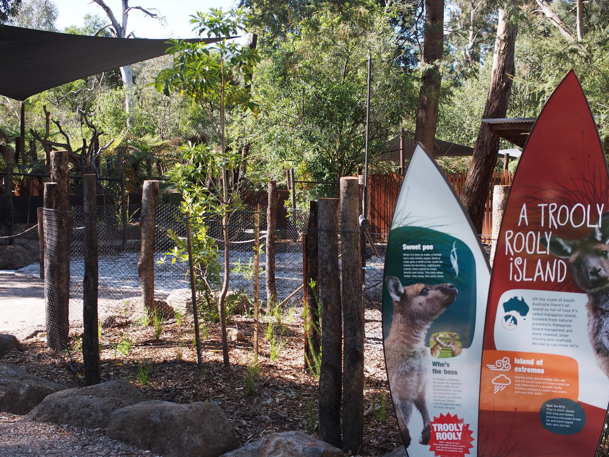 Healesville Kangaroo Exhibit, Healesville, 20XX