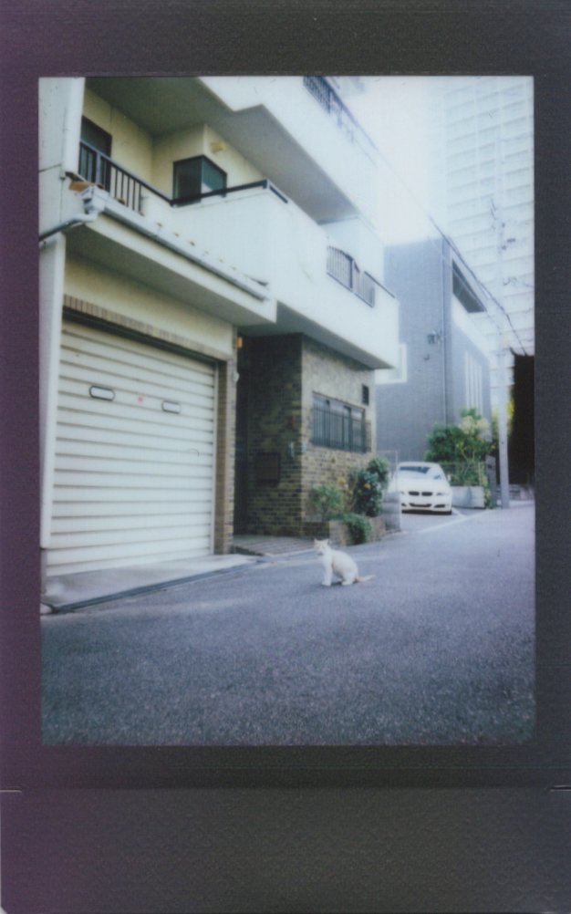 Image_20231205_0006.jpeg