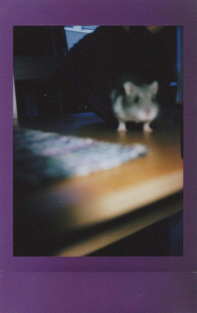 Image_20231205_0007.jpeg