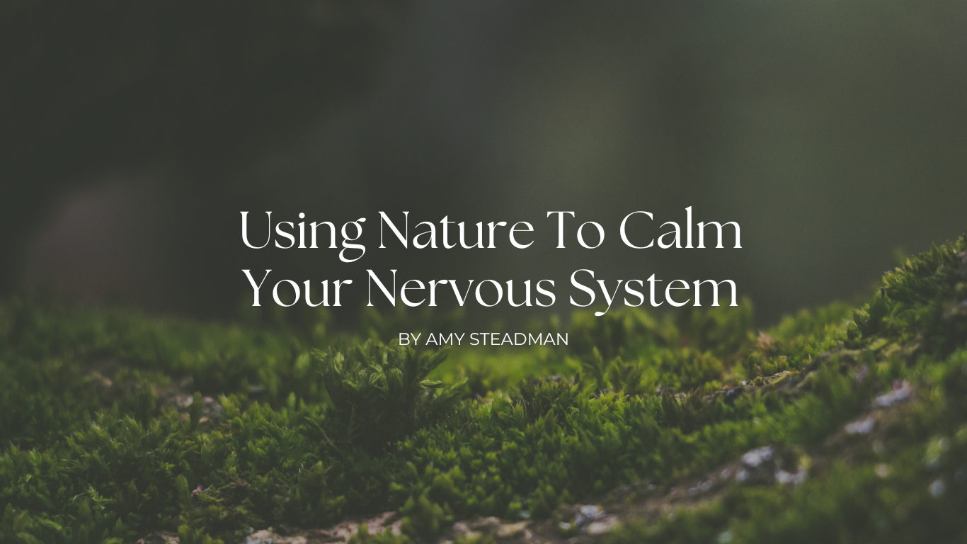 Using Nature To Calm Your Nervous System — Wellbeing in Nature by Amy ...