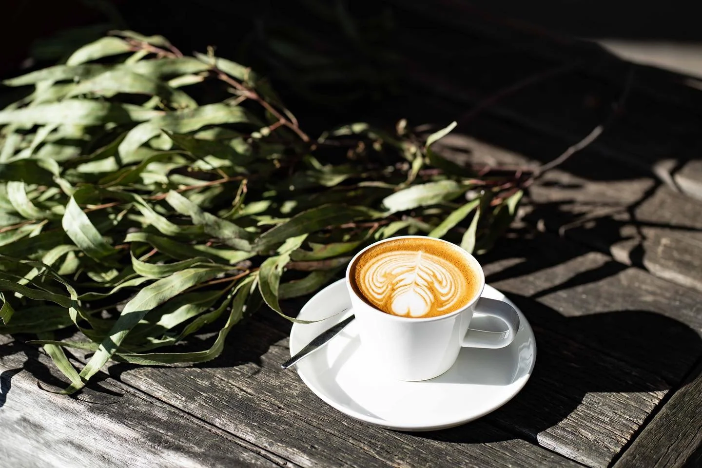 coffee everyday ☕️