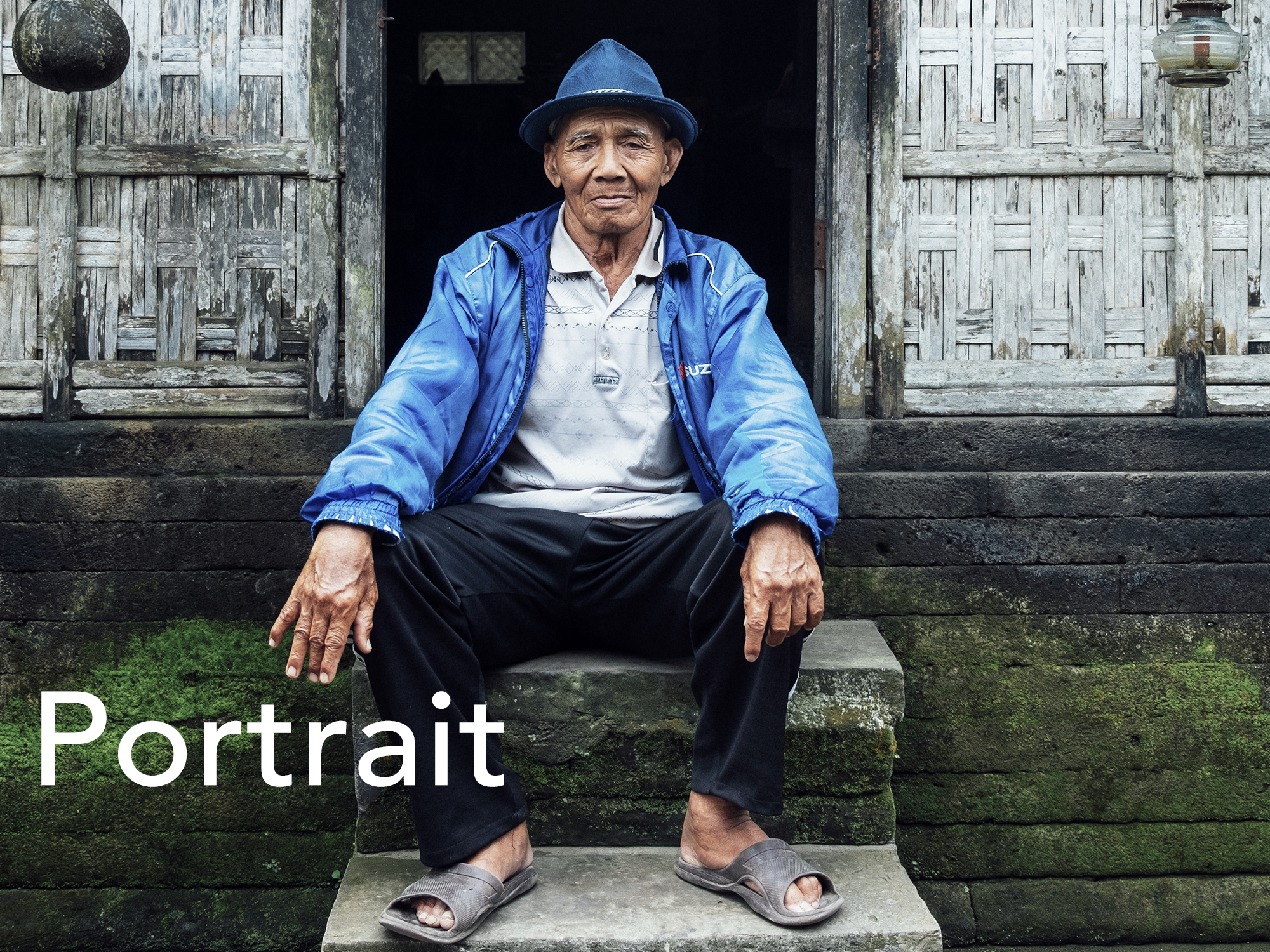 PortraitCollection.png