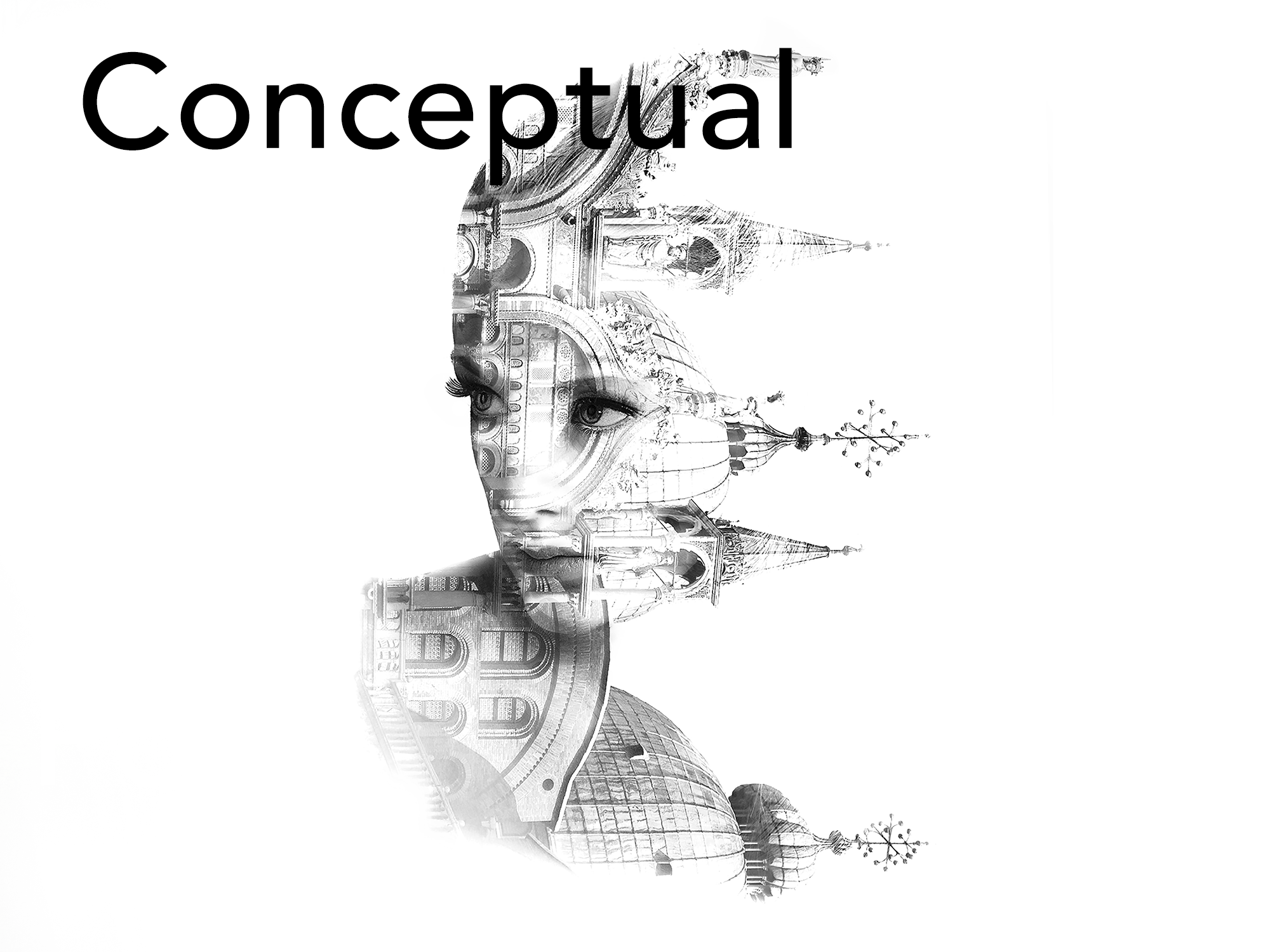 ConceptualCollection.png