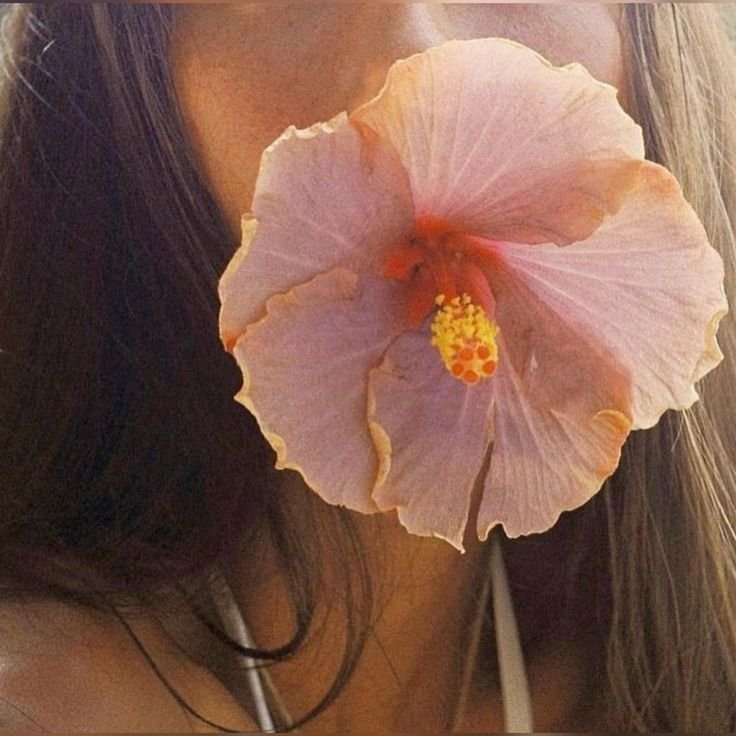 Pain Post Endo Surgery: A Naturopath’s Lens