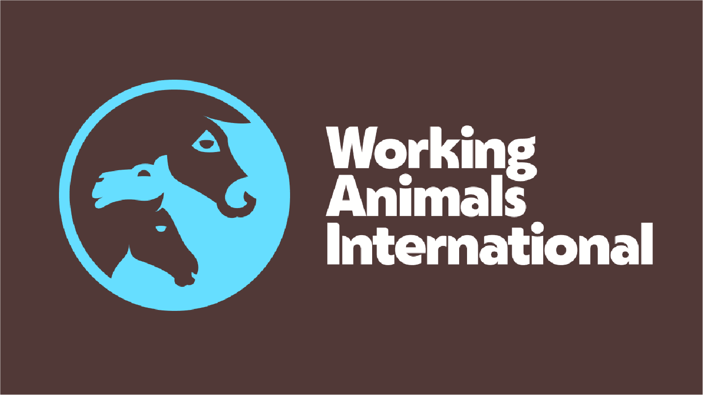 Working Animals International – Ethical language consultancy 