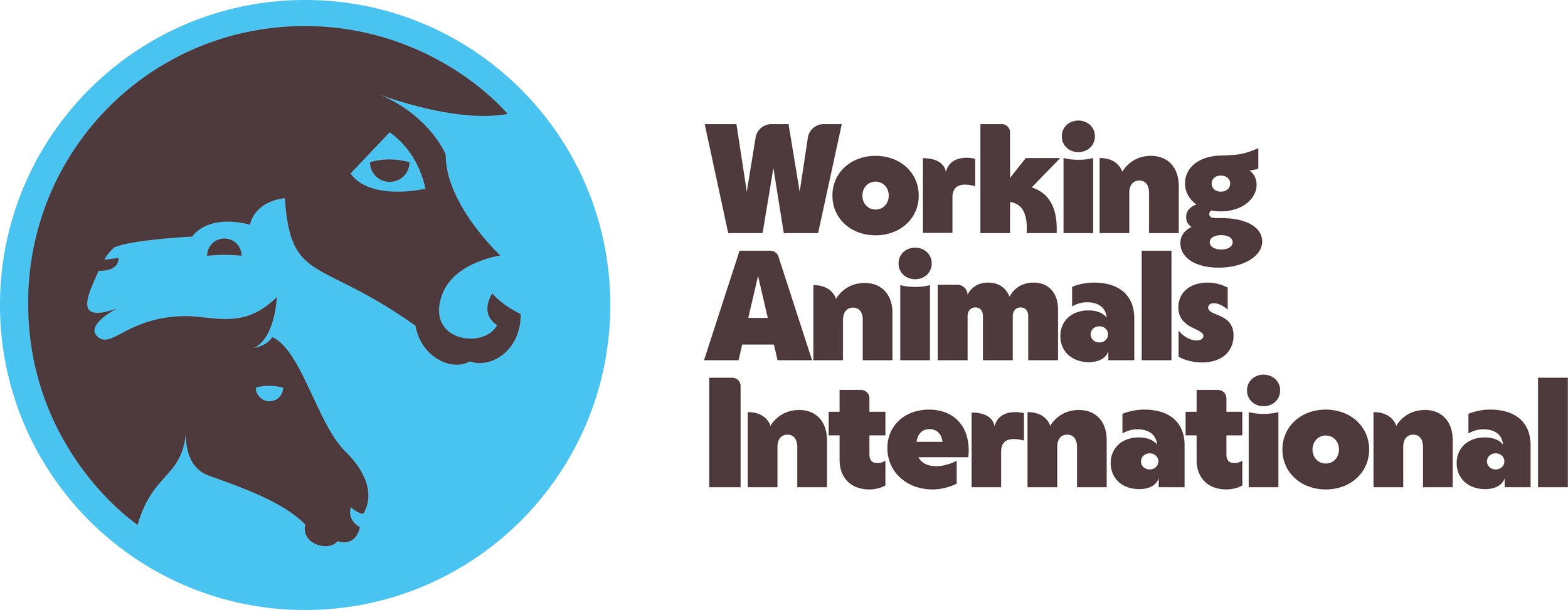 Working Animals International logo features the blue and brown, silhouetted heads of a horse, donkey and camel.