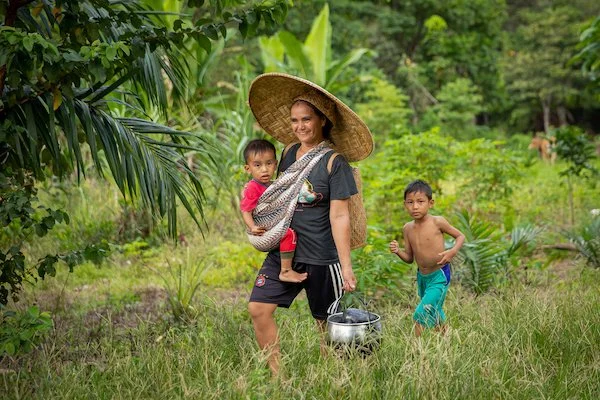 Rimba Collective – Financing Forest Conservation — Storytelling For ...