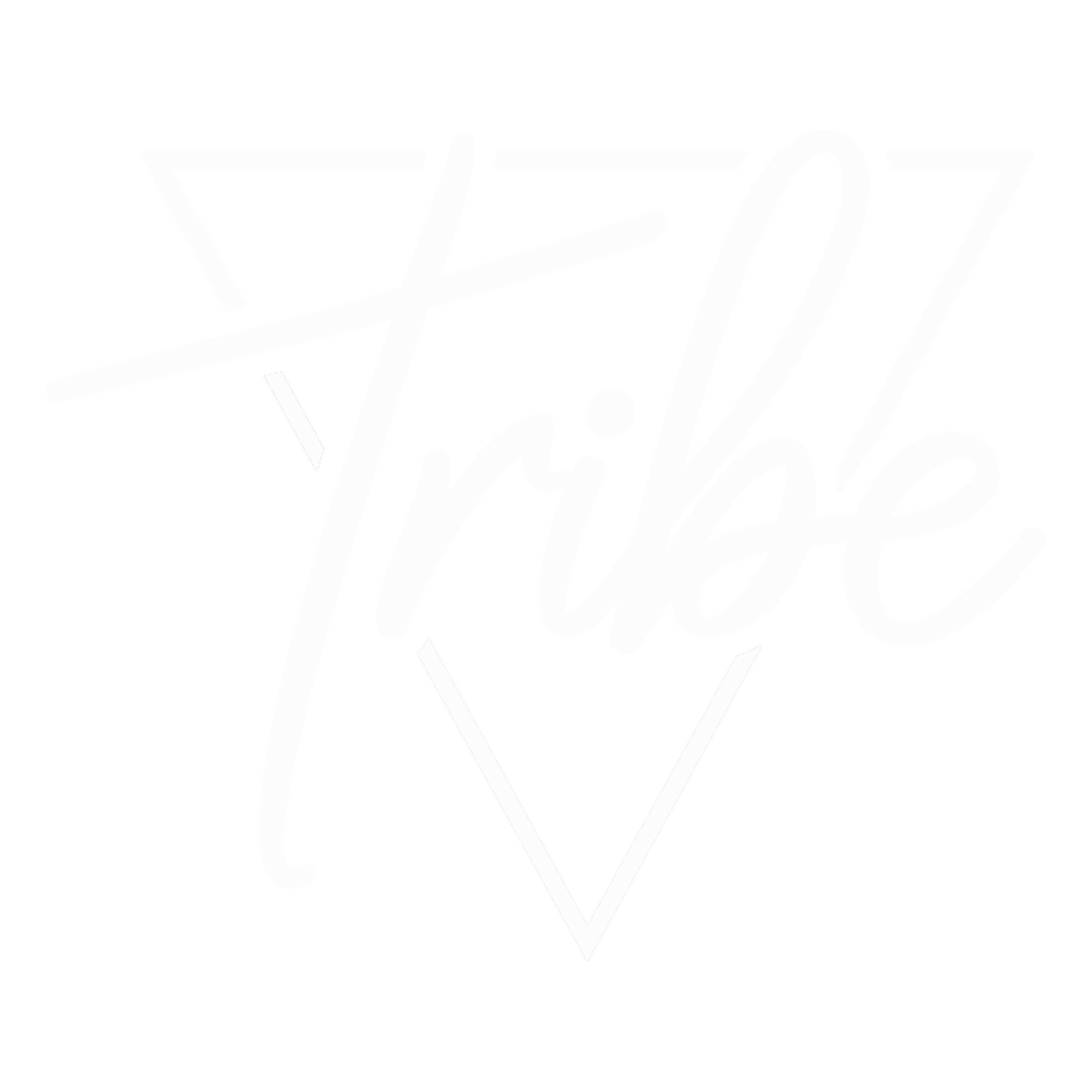 Australian Online LGBT Therapy | Tribe Wellness