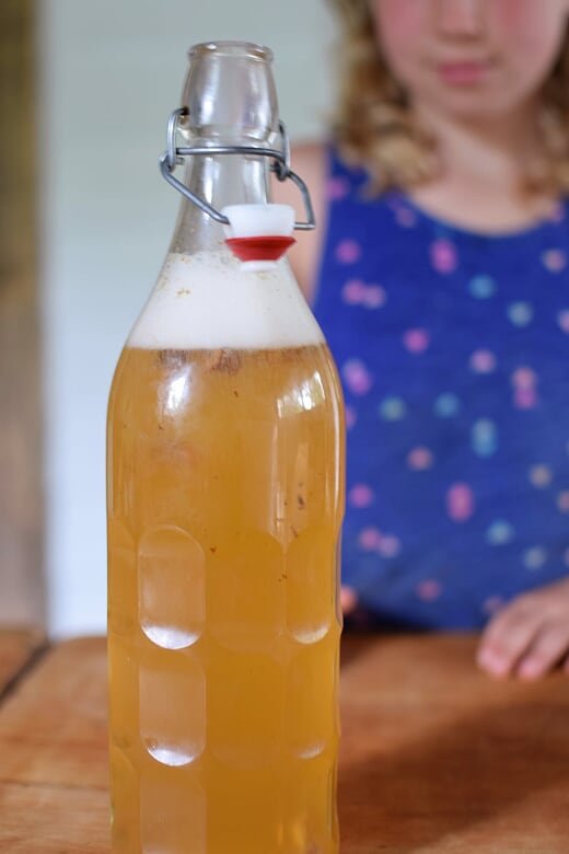 sass+kombucha.jpeg