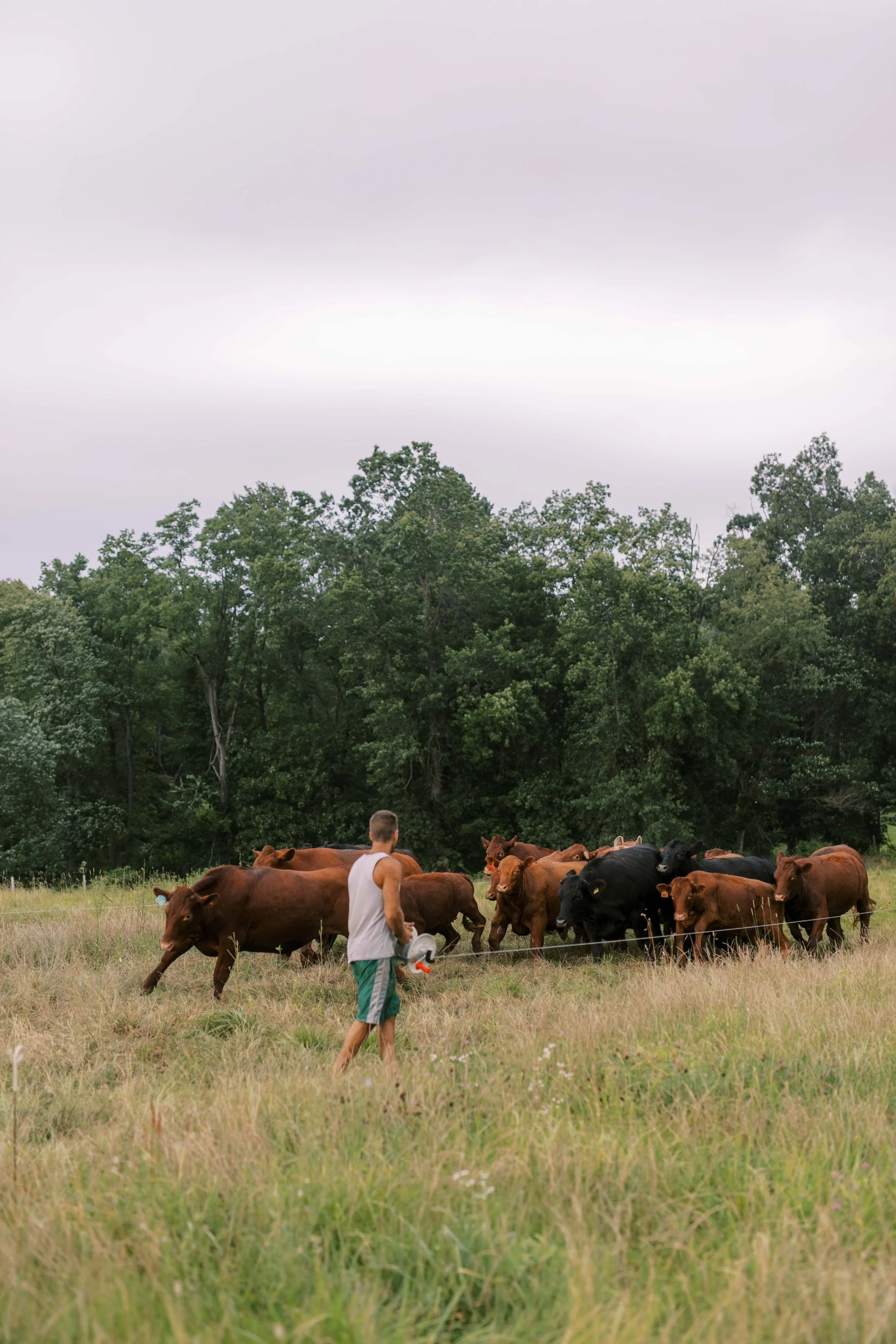 Hidden Springs Farm.jpg