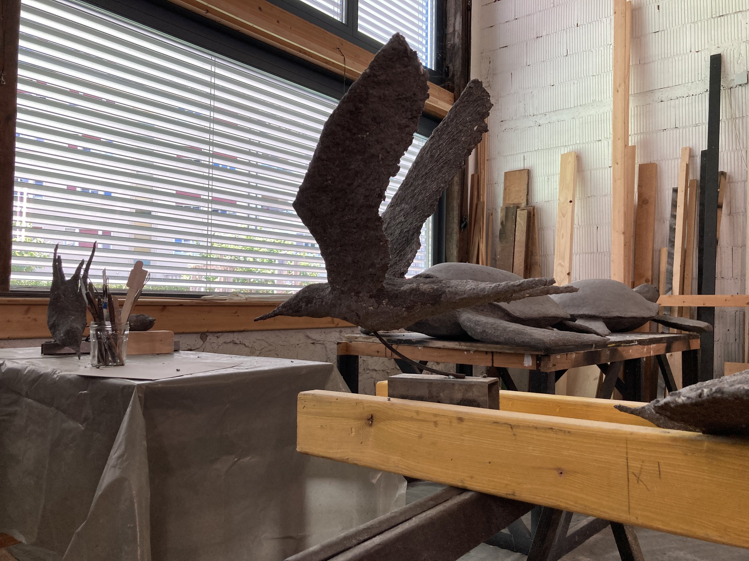 * Laténium 2025 “L’île de sable”