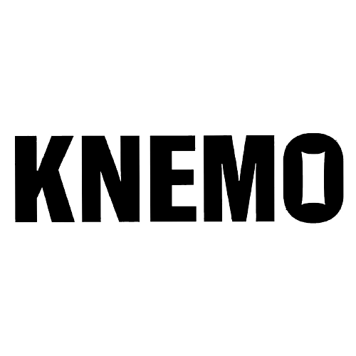 BITE-NYC25-Logo-Brands-Website_Knemo.png