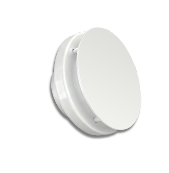 White.png