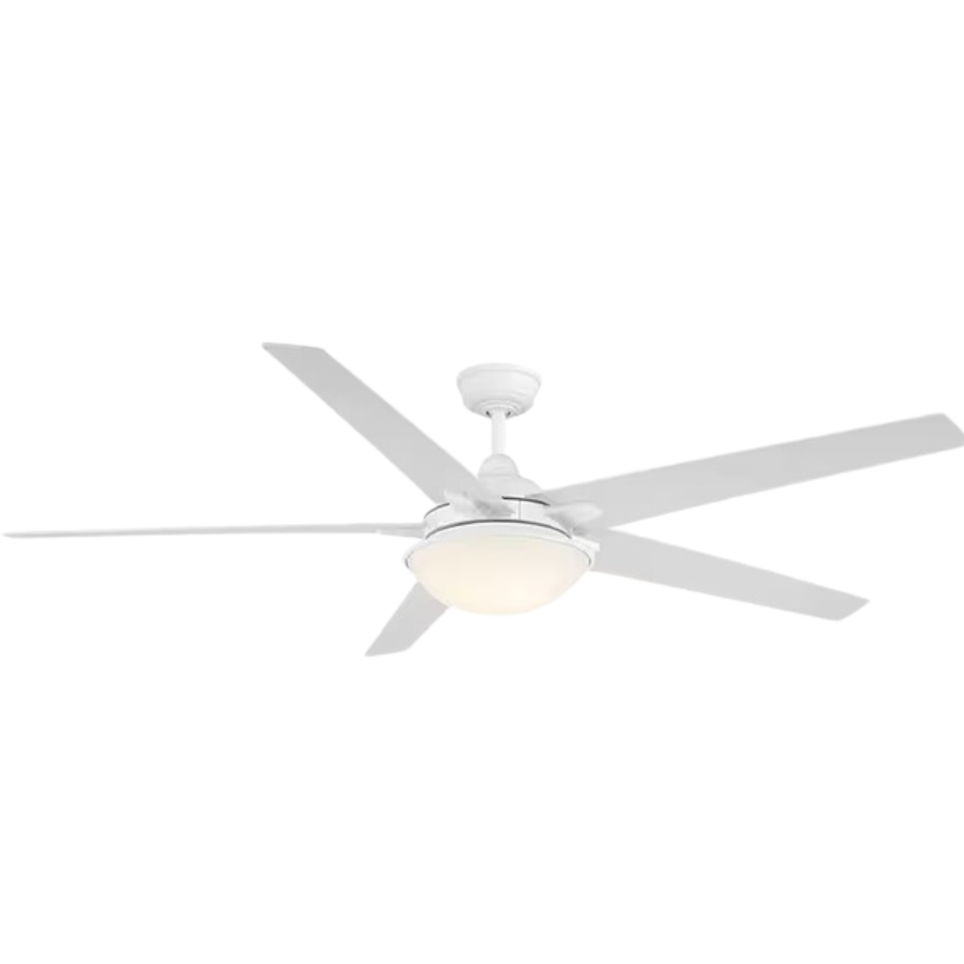 Copy of January Fans Ad - Z (2).png