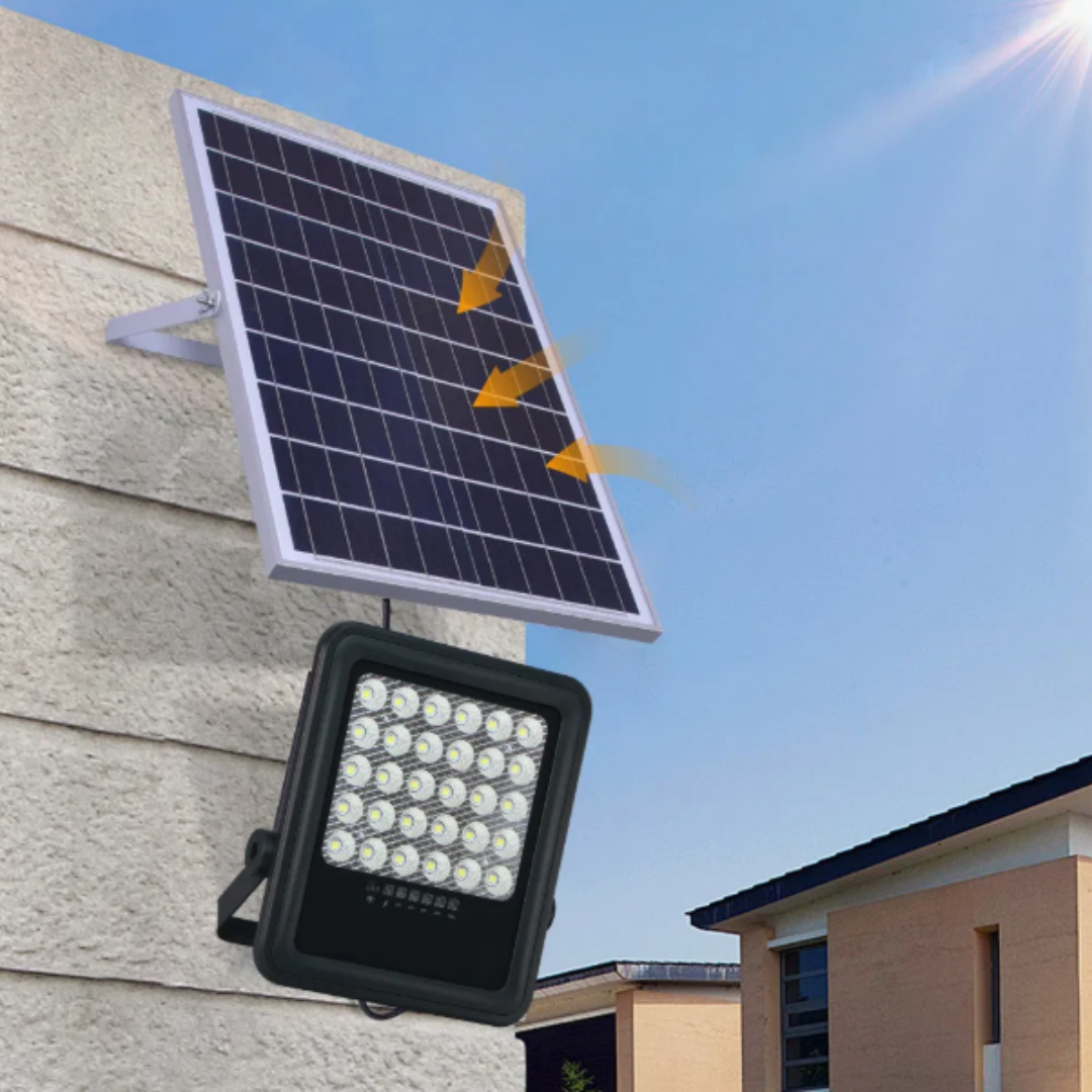 Solar Flood 2026 - Z (2).png