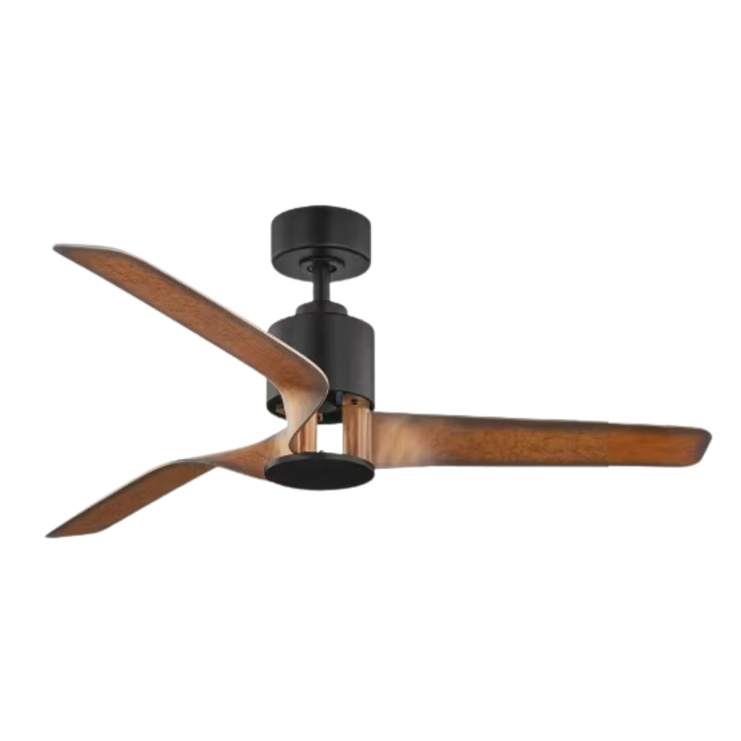 Copy of January Fans Ad - Z (3).png