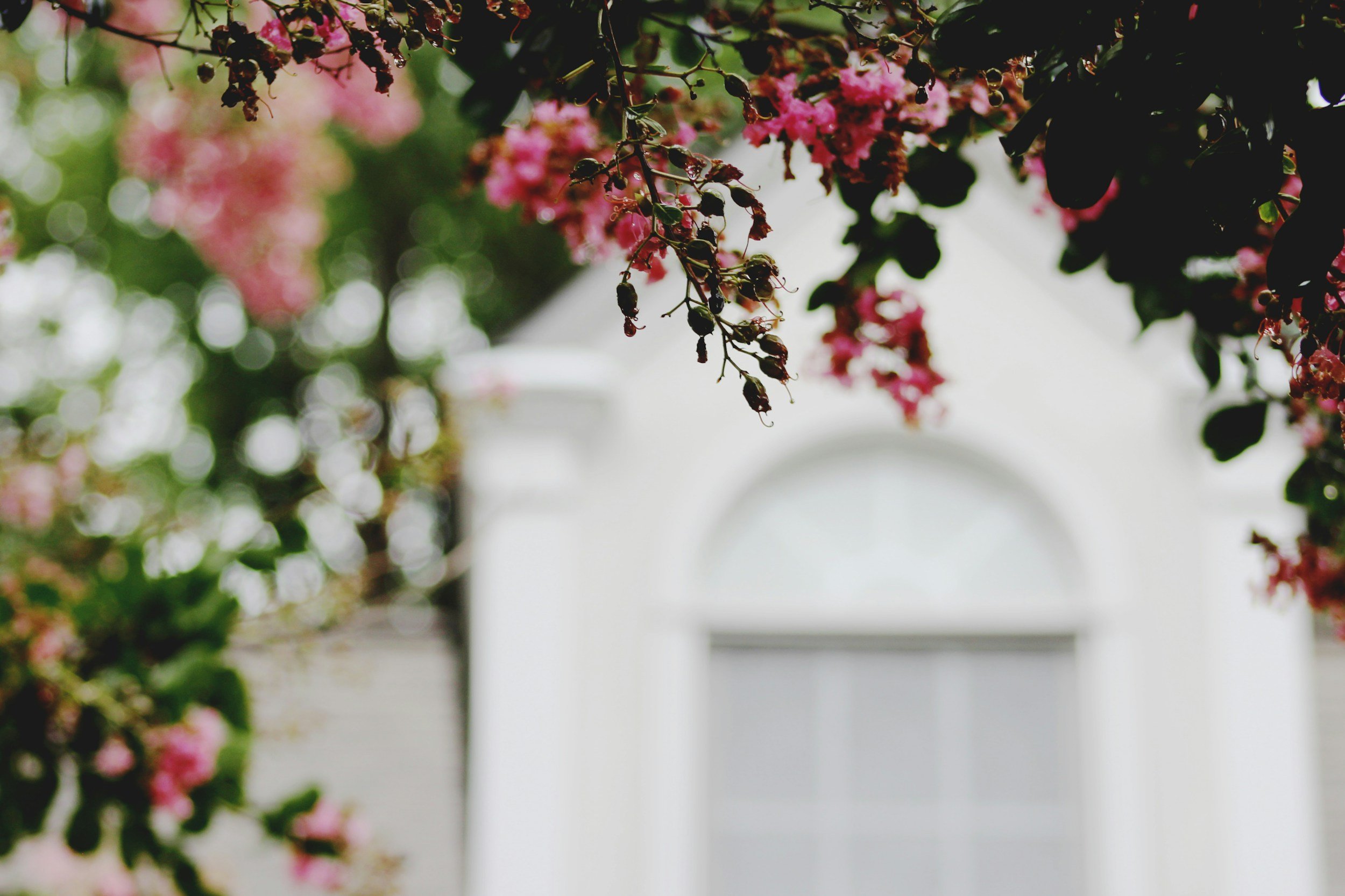 April’s Home Newsletter