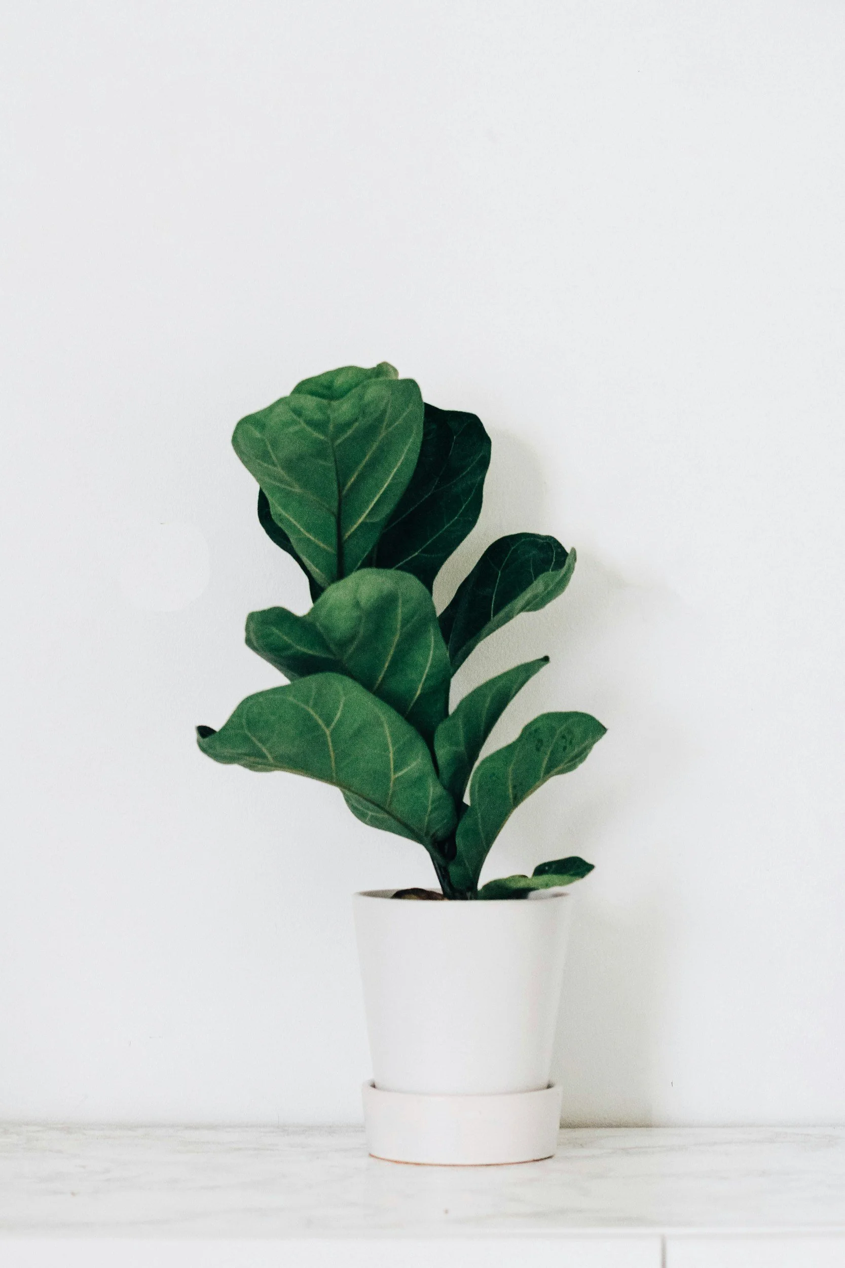 unsplash-image-EbLX7oRo4vI.jpg