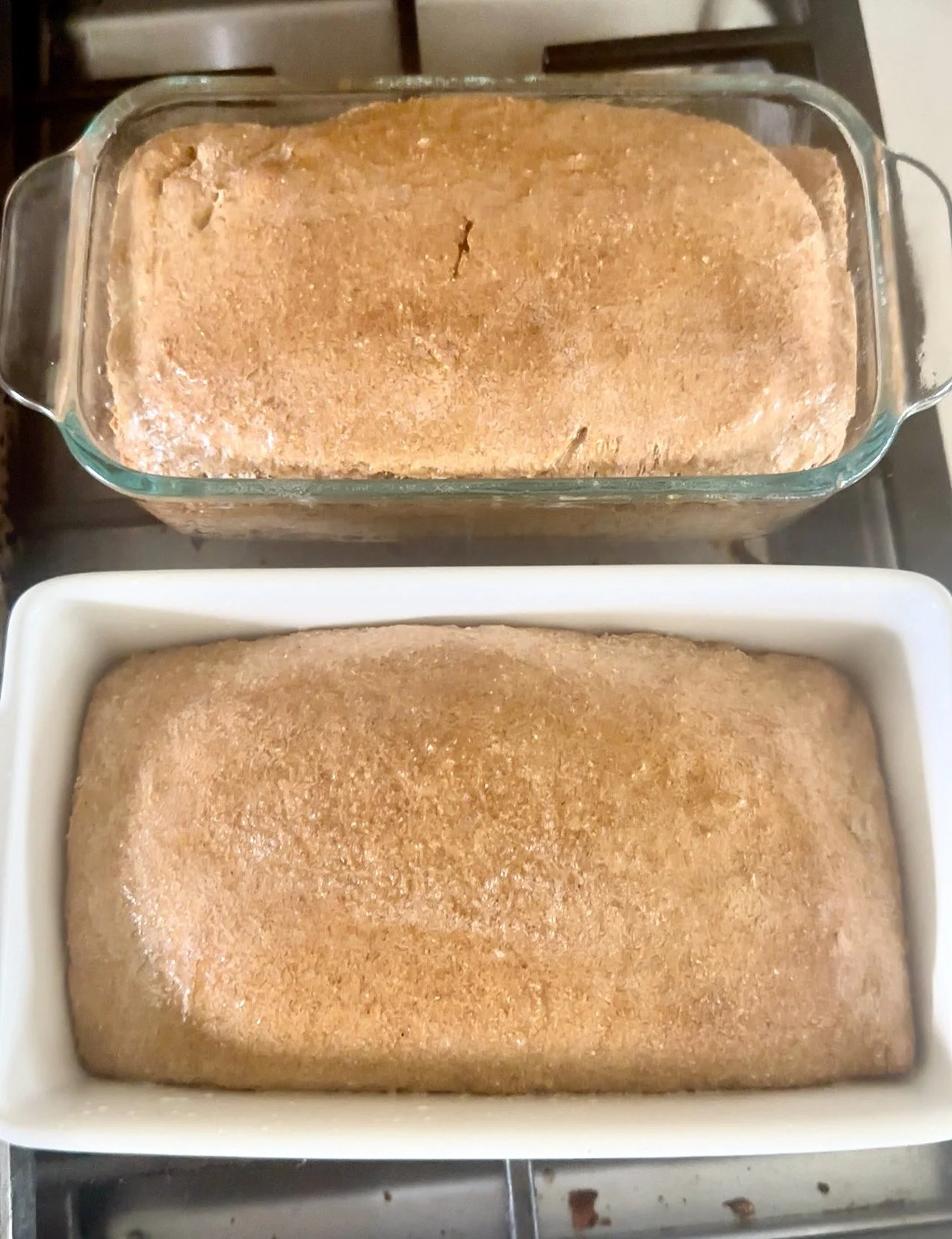 Why Fresh Milled Grain Supports Gut Health, Digestion, and Whole-Body Wellness