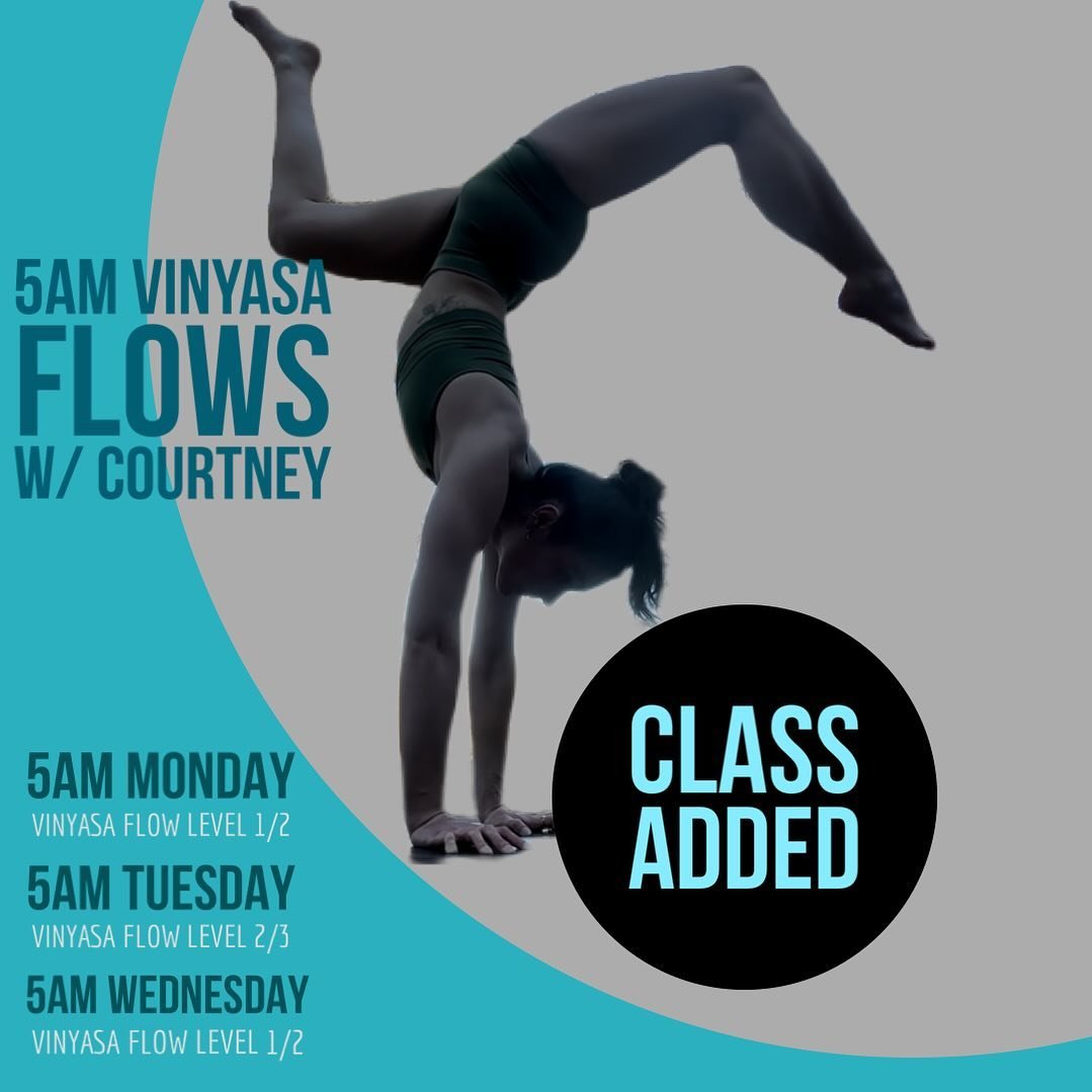 New class type added: 🫶🏼

Monday/Wednesday 5AM- 
Vinyasa Flow Level 1-2
Beginner to intermediate class, yet appropriate for all levels. Those new to yoga will find class pace &amp; instruction friendly &amp; accessible. Great for those that want to