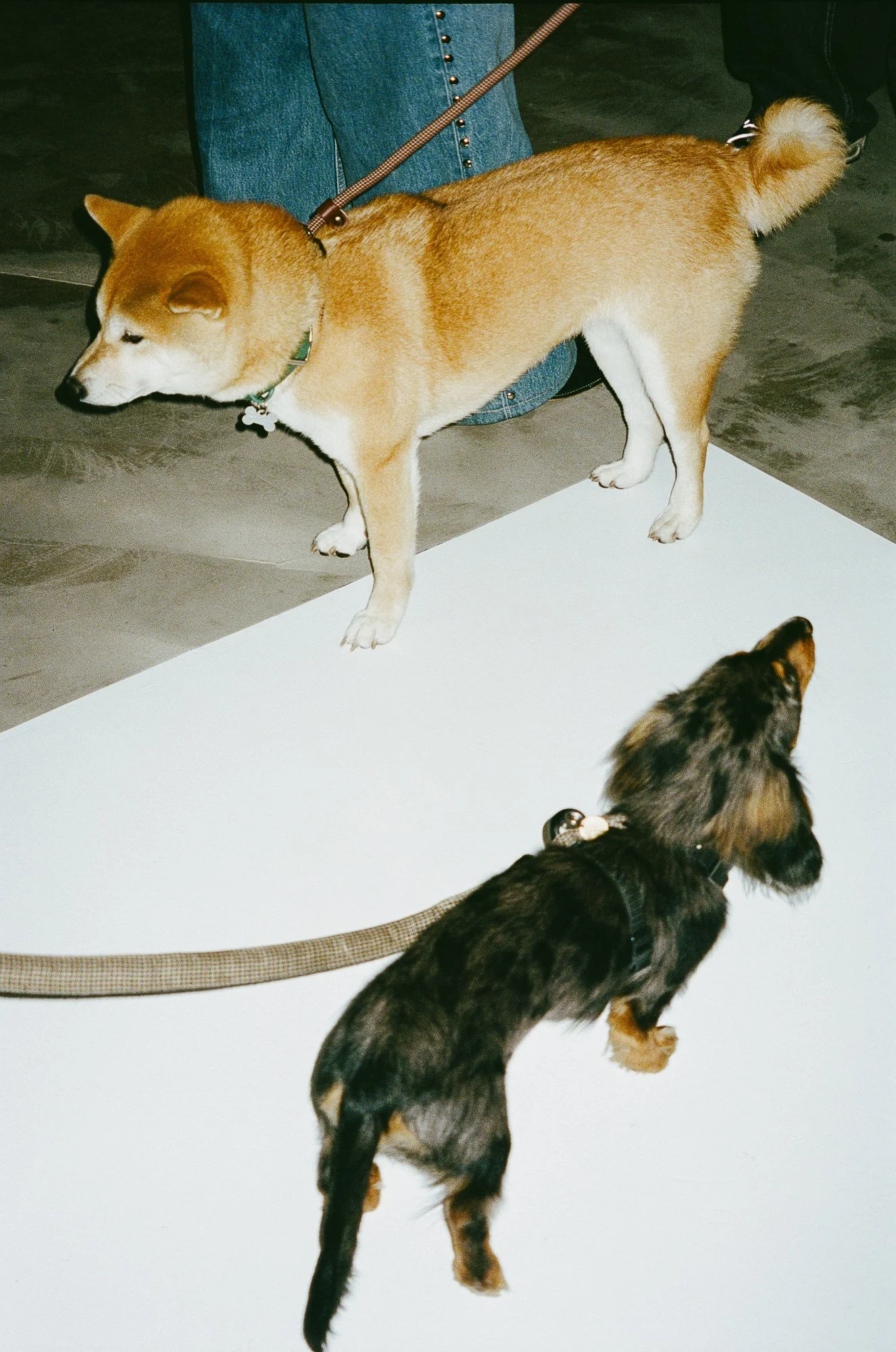 La Galerie- Opening Event-49.jpg