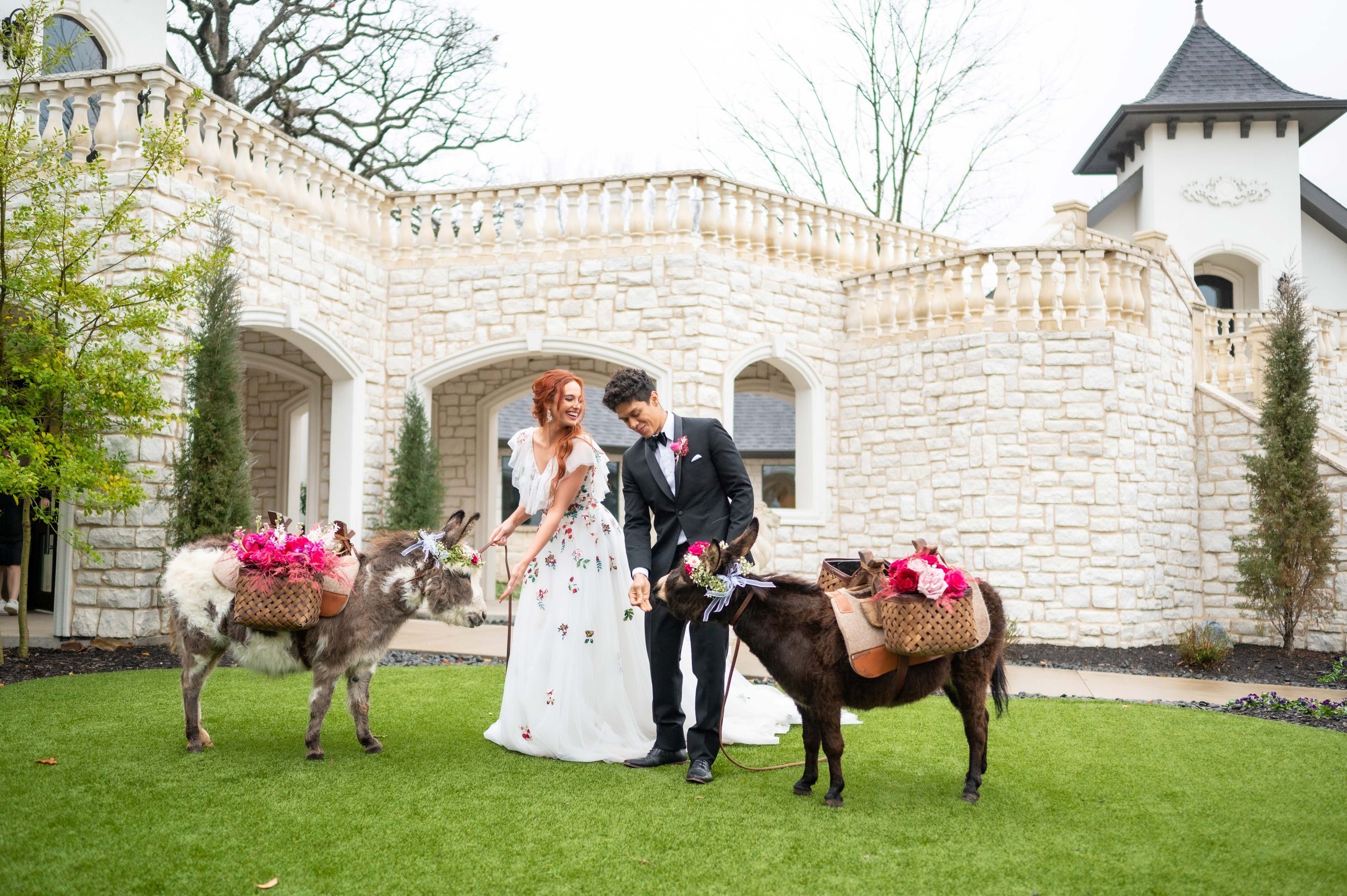 a bride and groom stand outside of Brighton Abbey as they pose with two donkeys adorned with flowers