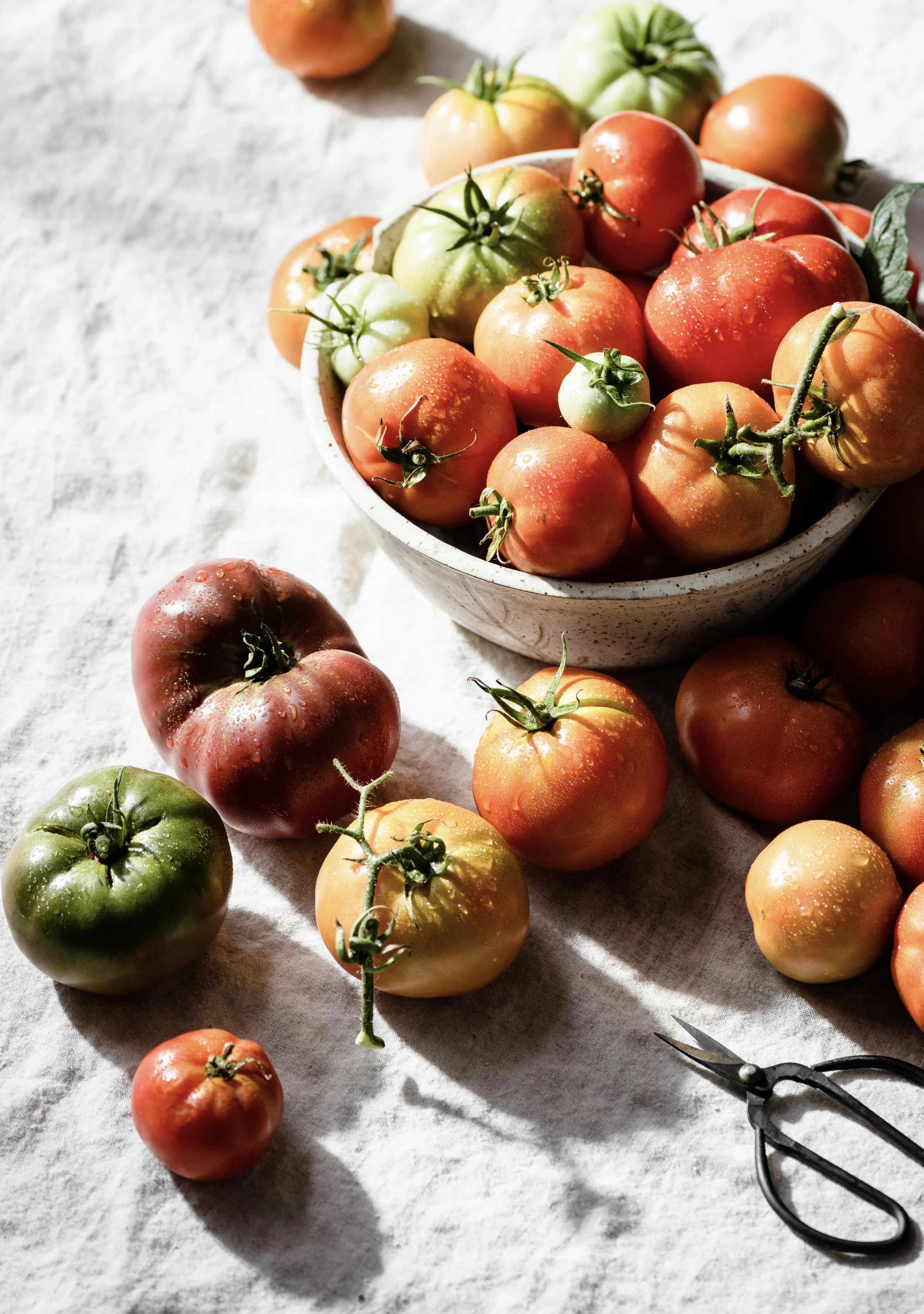 harsh%20light%20tomatoes-191.jpg