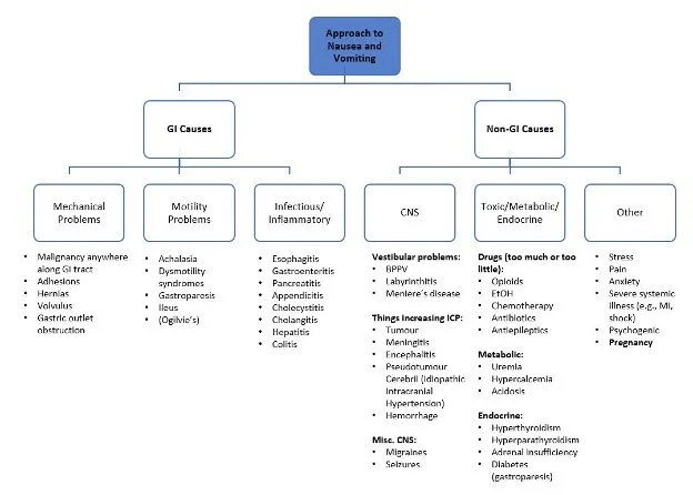  GI Causes vs NON-GI Causes - Chief Medical Resident Blog.  A Smarter Approach to Nausea and Vomiting . February 5, 2021. https://wchcmr.org/2021/02/05/a-smarter-approach-to-nausea-and-vomiting/ 