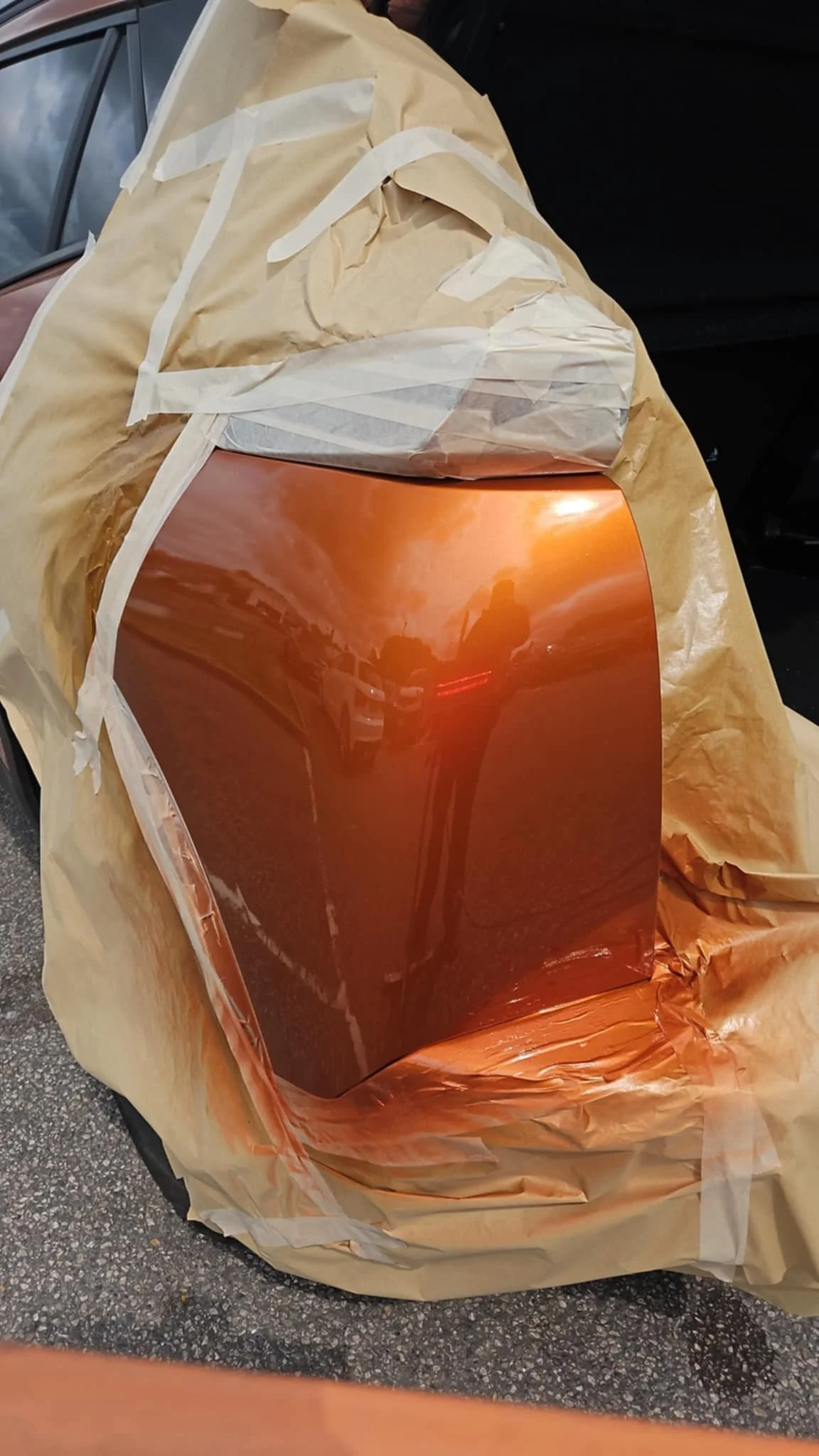 79250443-b635-4af5-a4a5-d394c5cdc4c5.jfif