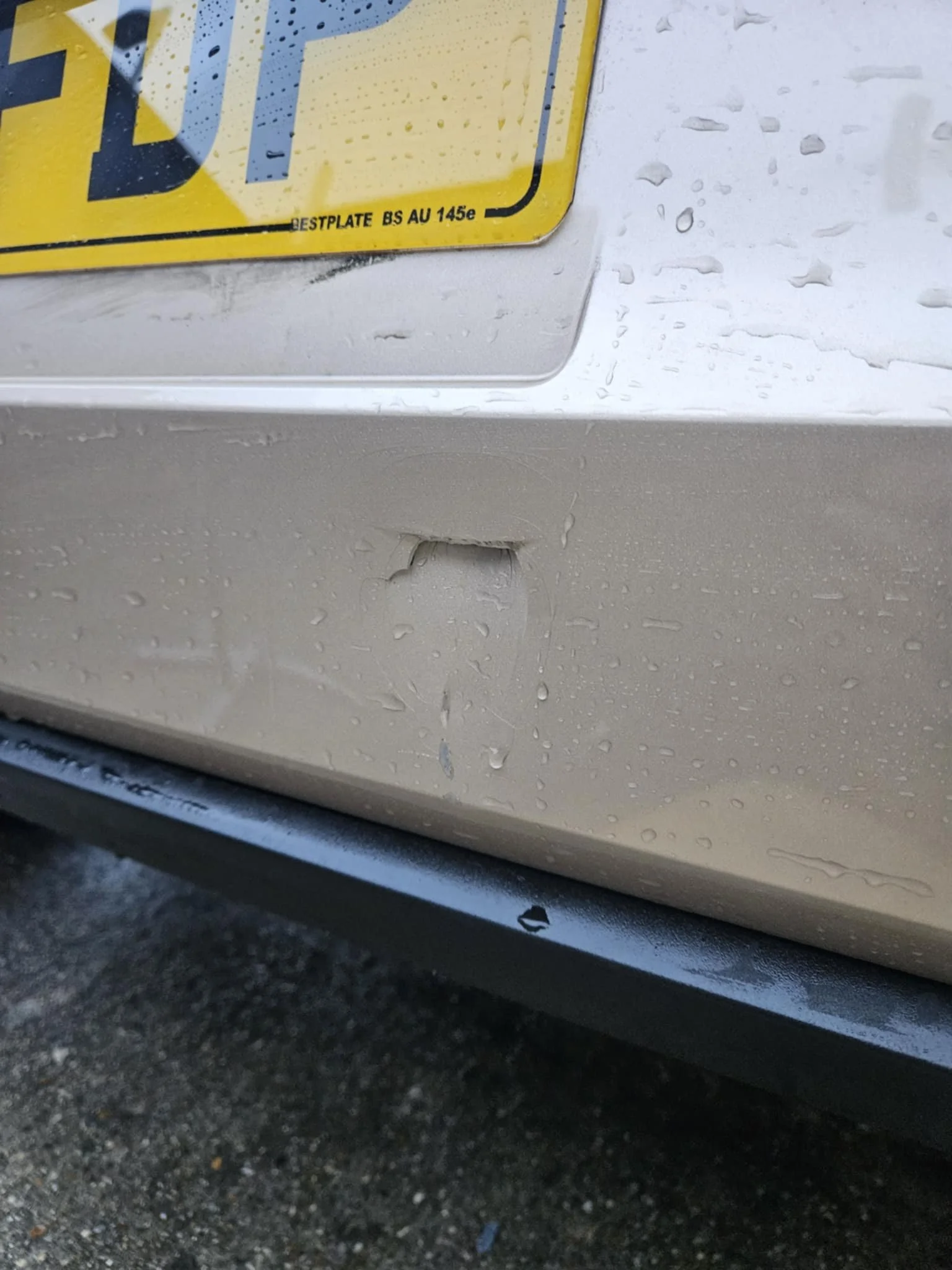 37c3dbac-fbd7-4049-8ab0-8034c349d330.jfif