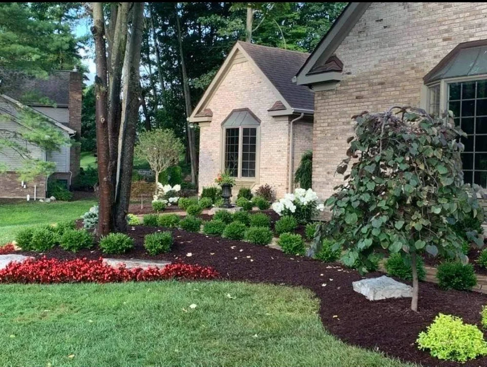 D C Construction Concepts