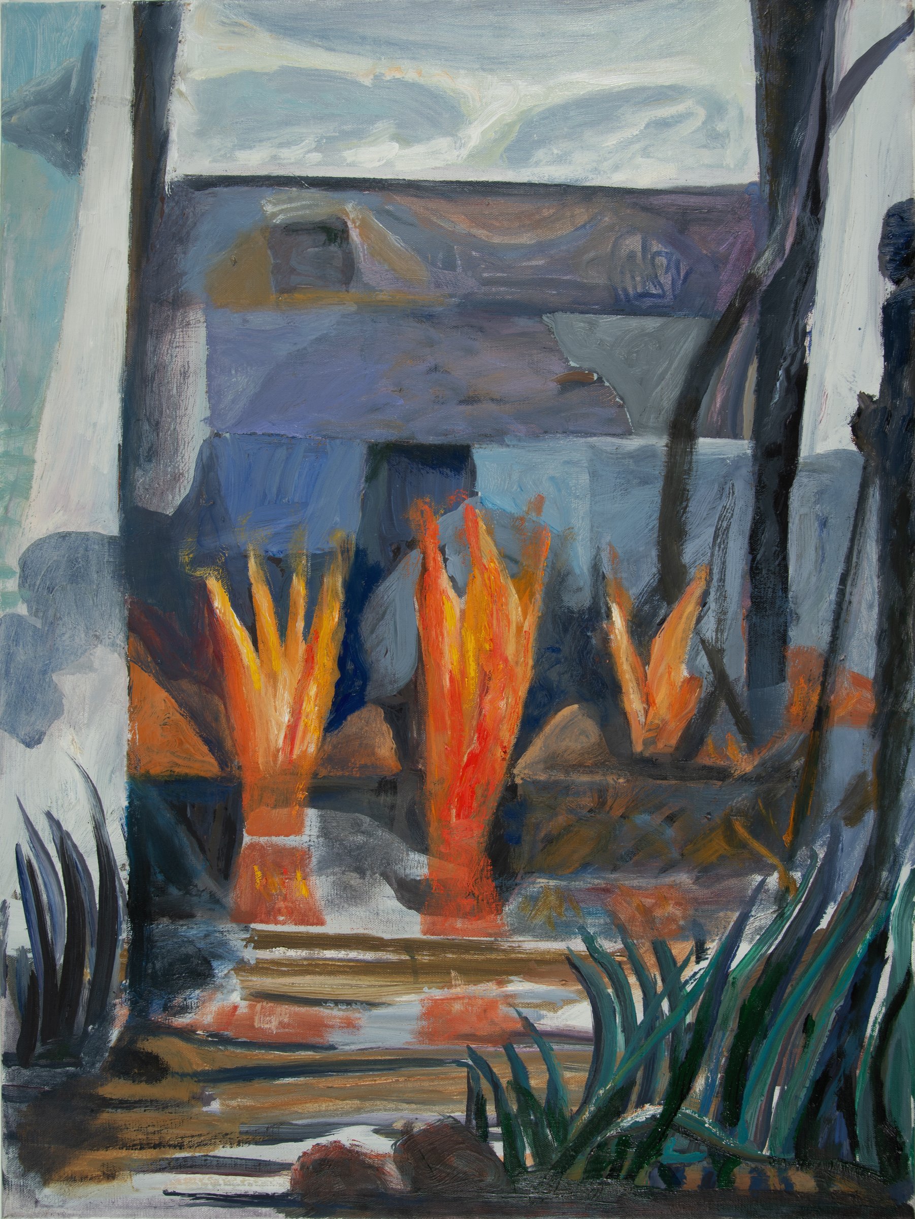 Burning The Bushes 24x18
