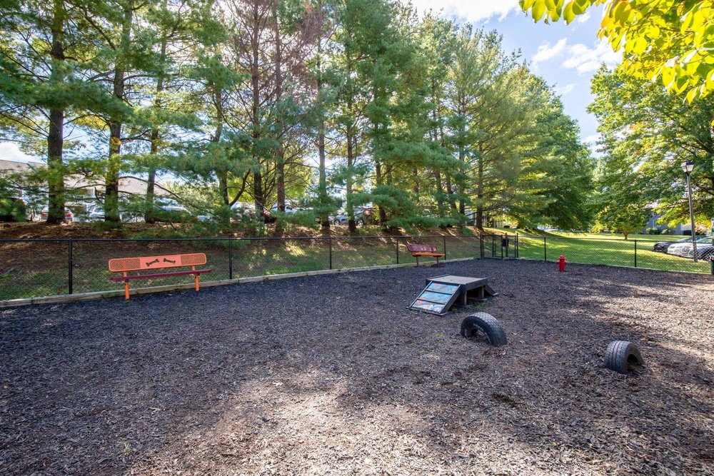 Photos Blacksburg Apartments near VA Tech — Terrace View