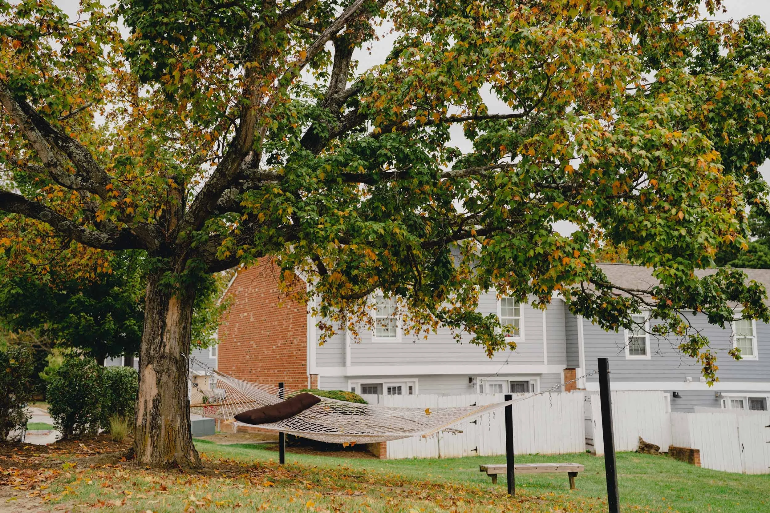 Terrace View | Off-Campus Apartments in Blacksburg, VA | Hammock