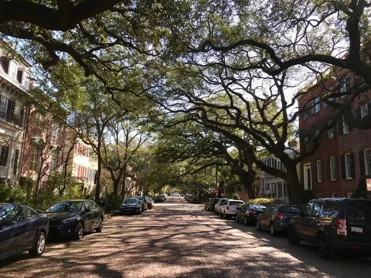 Is Savannah Walkable? What Visitors Should Know