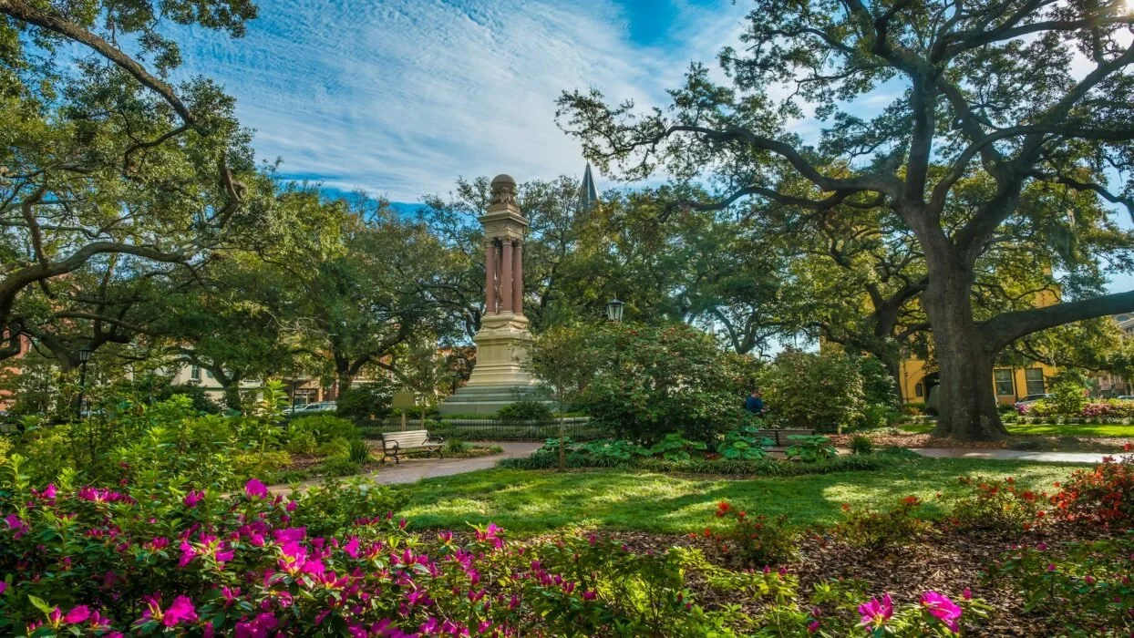 How to Experience Savannah Like a Local