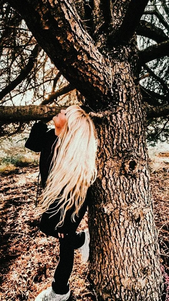 Carta Natal + Carta local