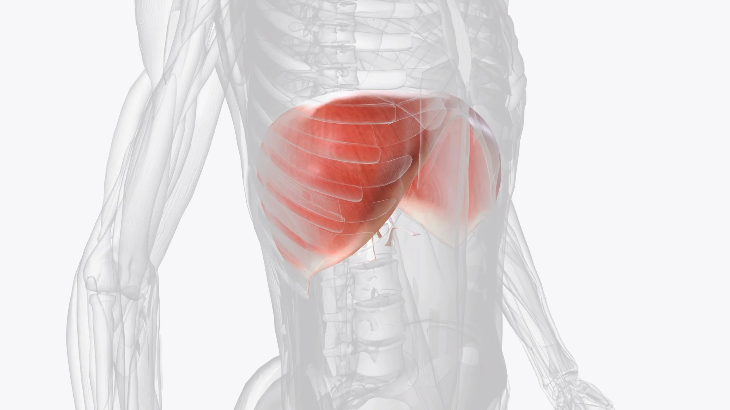 The Connection Between Jaw Tension, Breathing, and Neck Pain