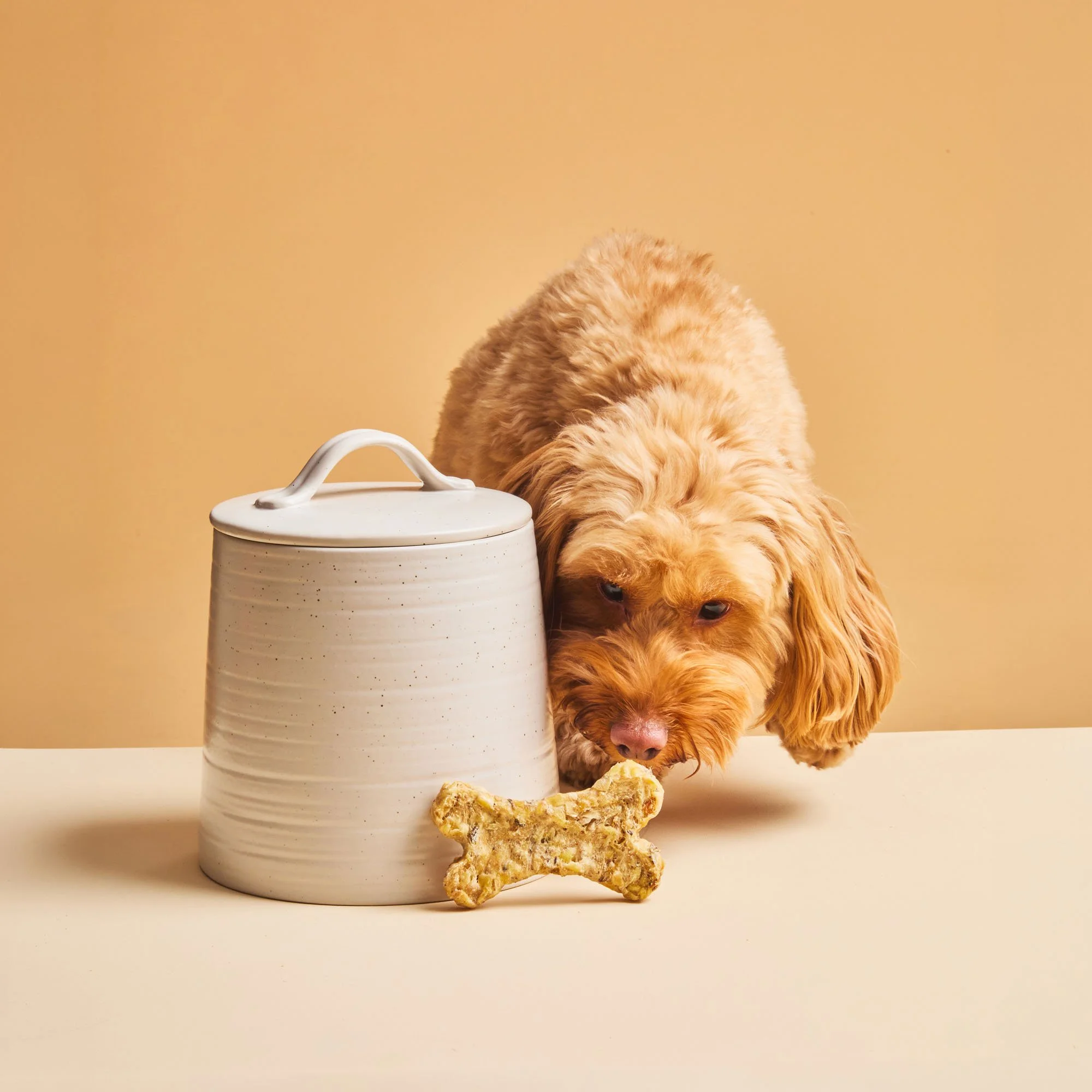 Scottish product photography including pet food dog chewy bone snack
