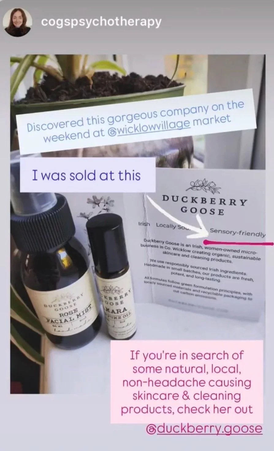 A social media post showcasing skincare products by Duckberry Goose, including facial mist and essential oil, with a sign about the company's Irish, women-owned, eco-friendly, handcrafted, and sustainable skincare. There are paper labels and bottles on a surface, with textual comments about discovering and selling the products at Wicklow Village Market.