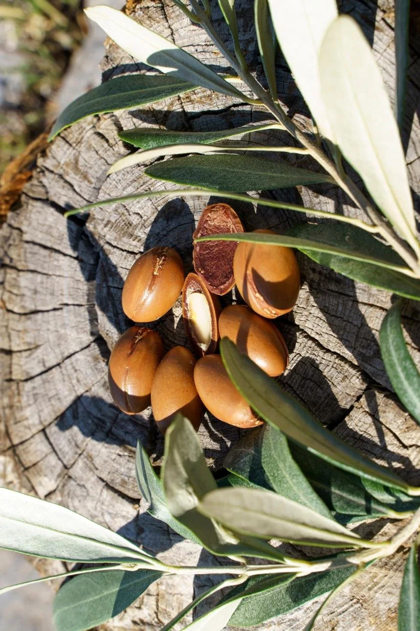 argan oil kernels on a wooden slap with some of its leaves showing