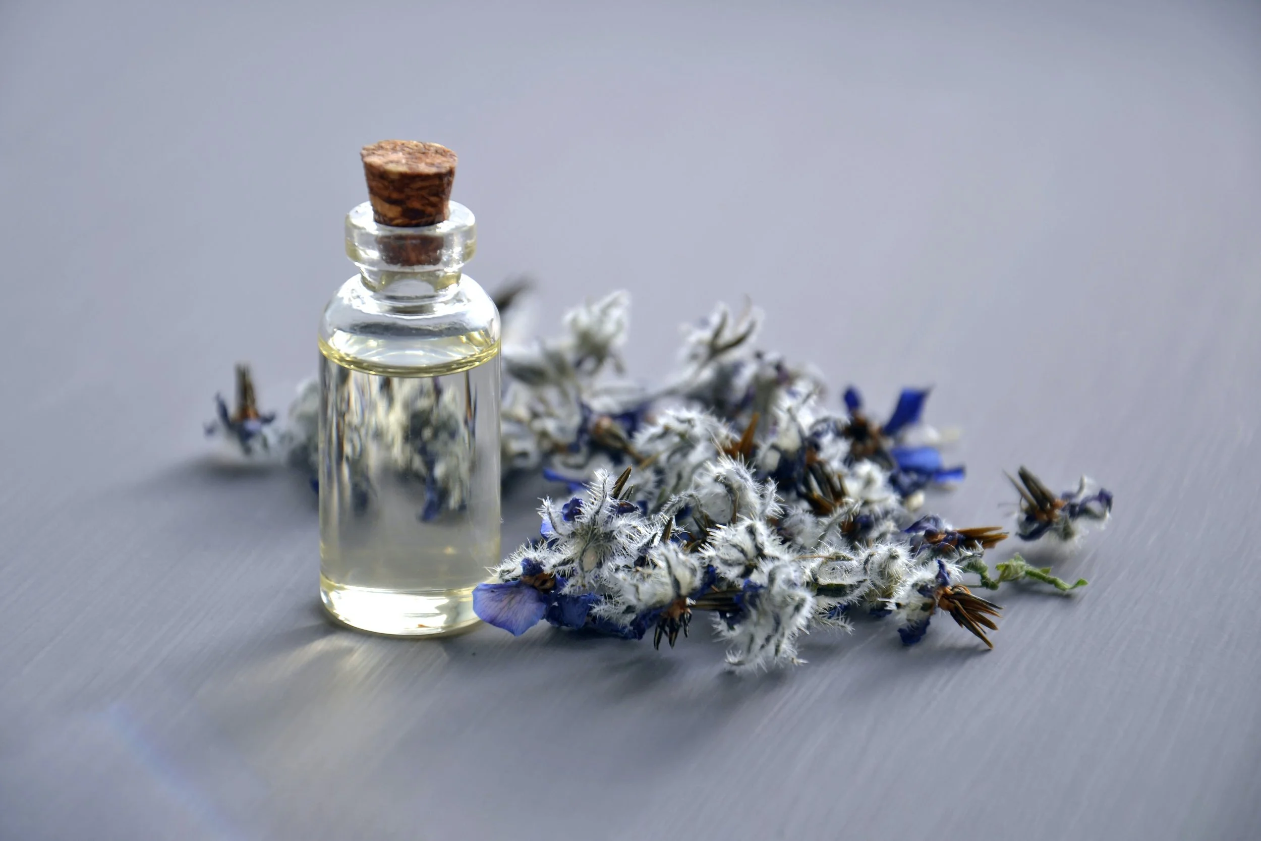 plant oils and extracts with a fuzzy light blue floral branch and bottle of clear liquid