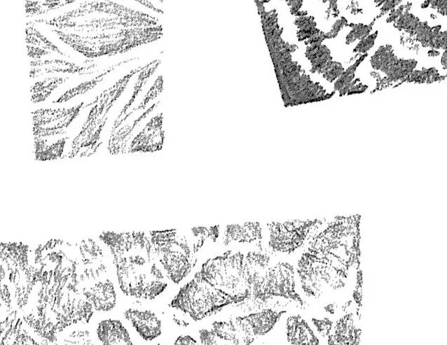 Dennis James Sweeney