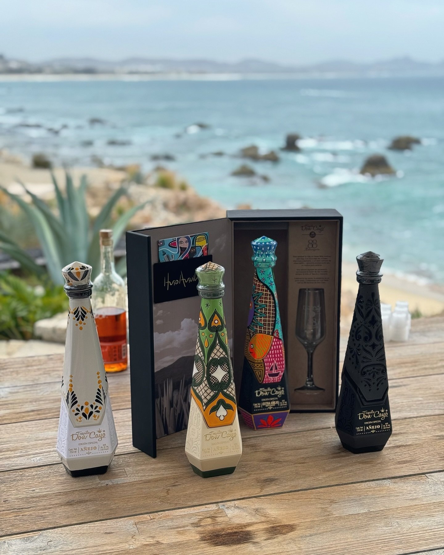 Elevate your stay with curated experiences ✨

From private tequila tastings to exclusive adventures, our concierge staff at Casa Encanto will craft unforgettable moments just for you.

#casaencanto #sanjosedelcabo #luxuryvillarental #tequilatasting #