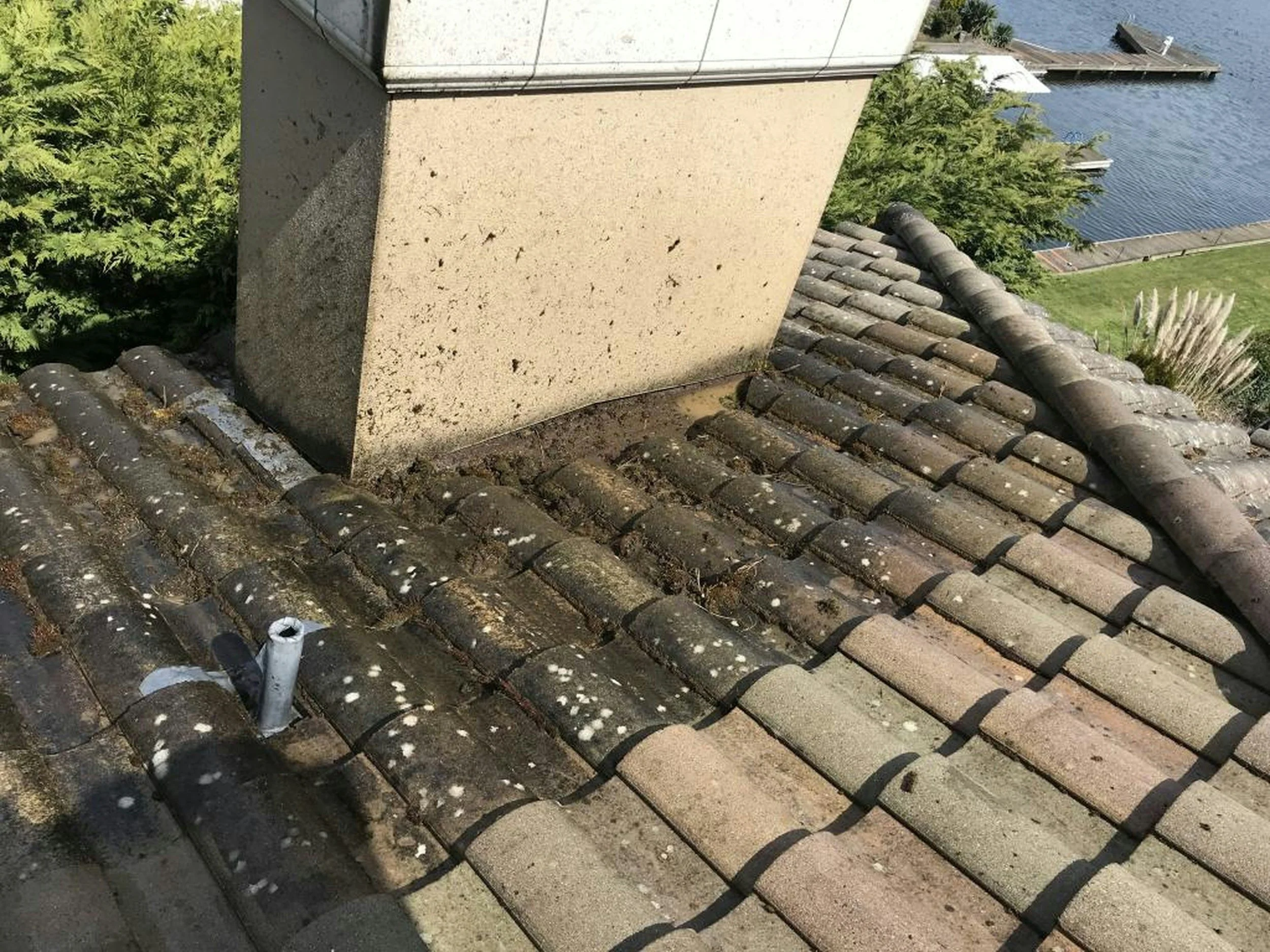 how to spot early signs of roof damage before it becomes a major problem?