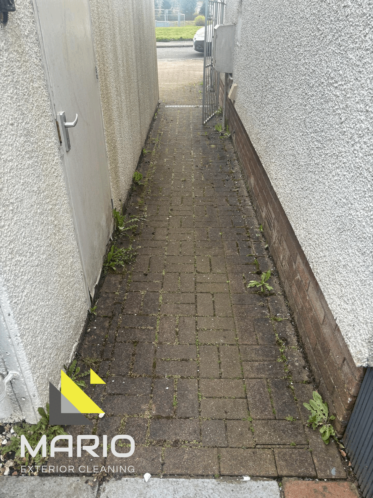 ezgif.com-overlay (2).gif