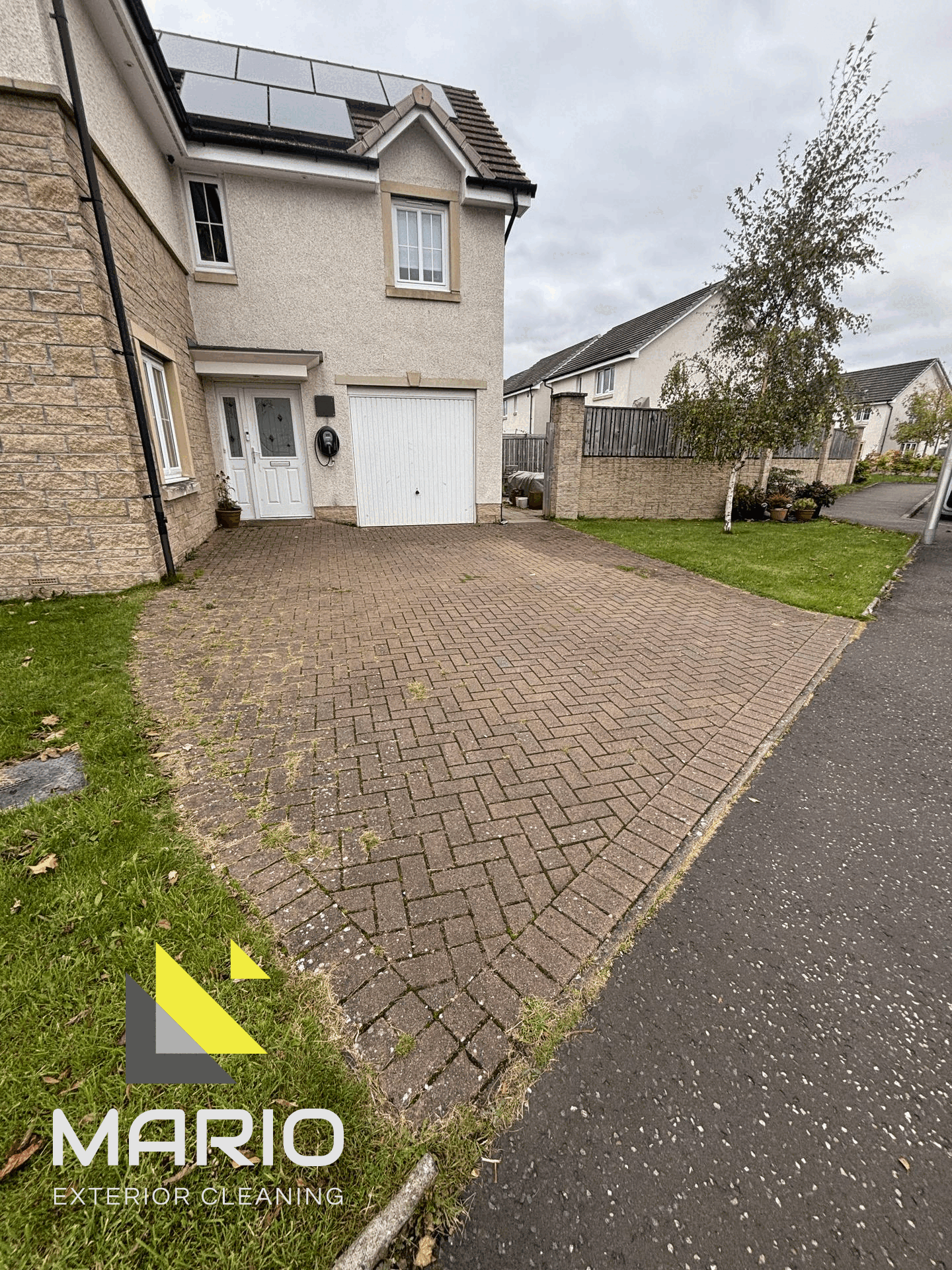 ezgif.com-overlay (1).gif