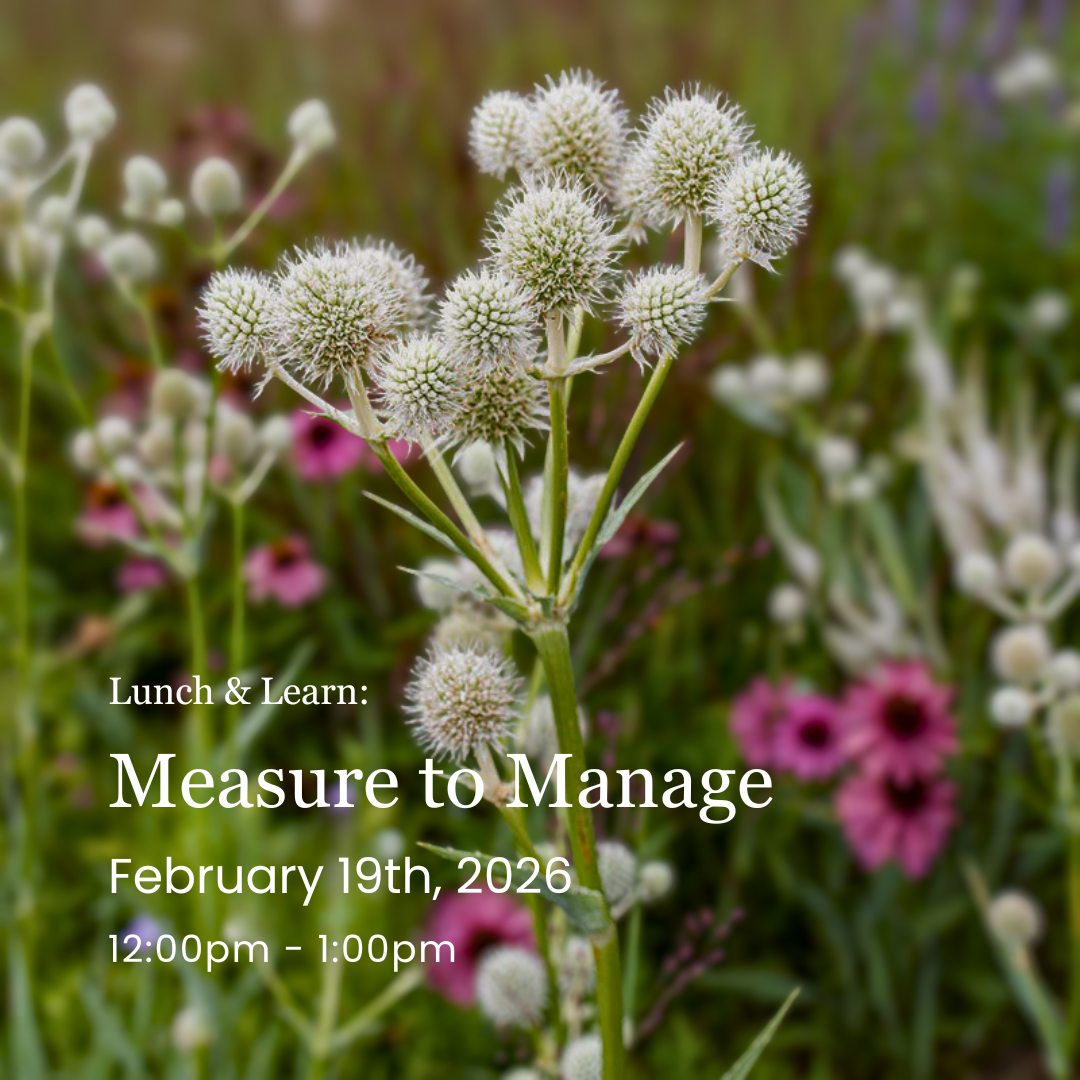 Lunch & Learn: Measure to Manage