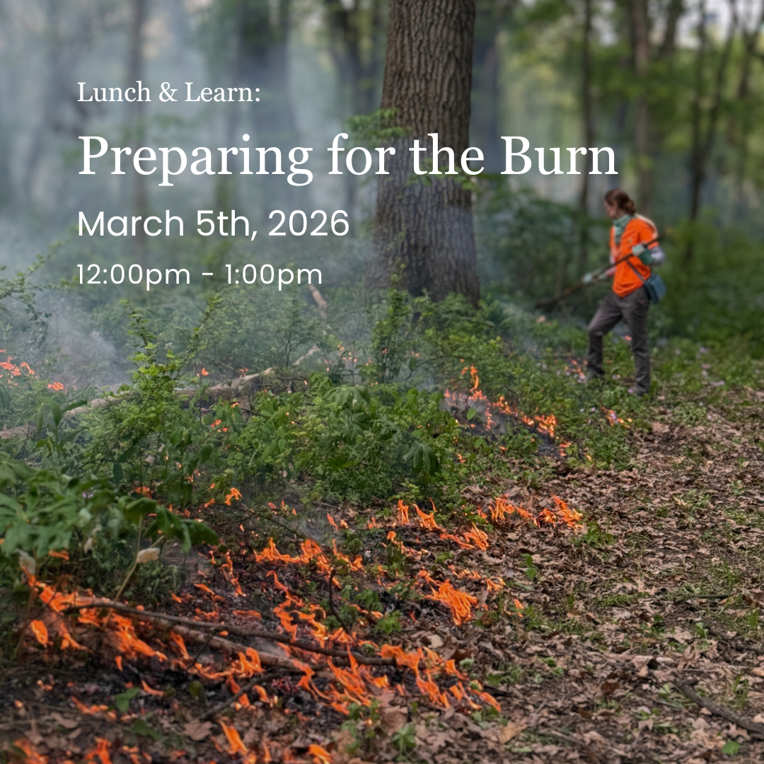 Lunch & Learn: Prepare for the Burn